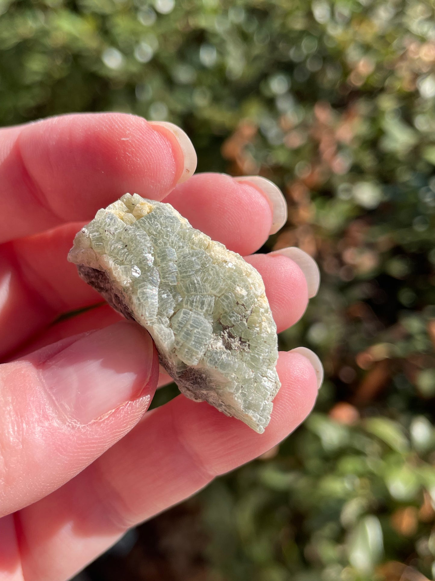 Prehnite with Epidote Crystal Clusters