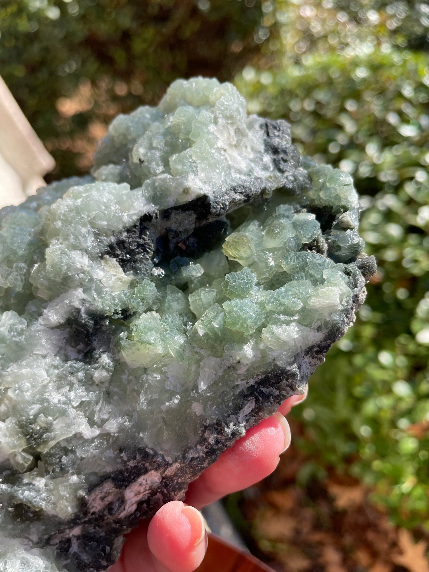 Prehnite Statement Piece Raw Crystal Cluster