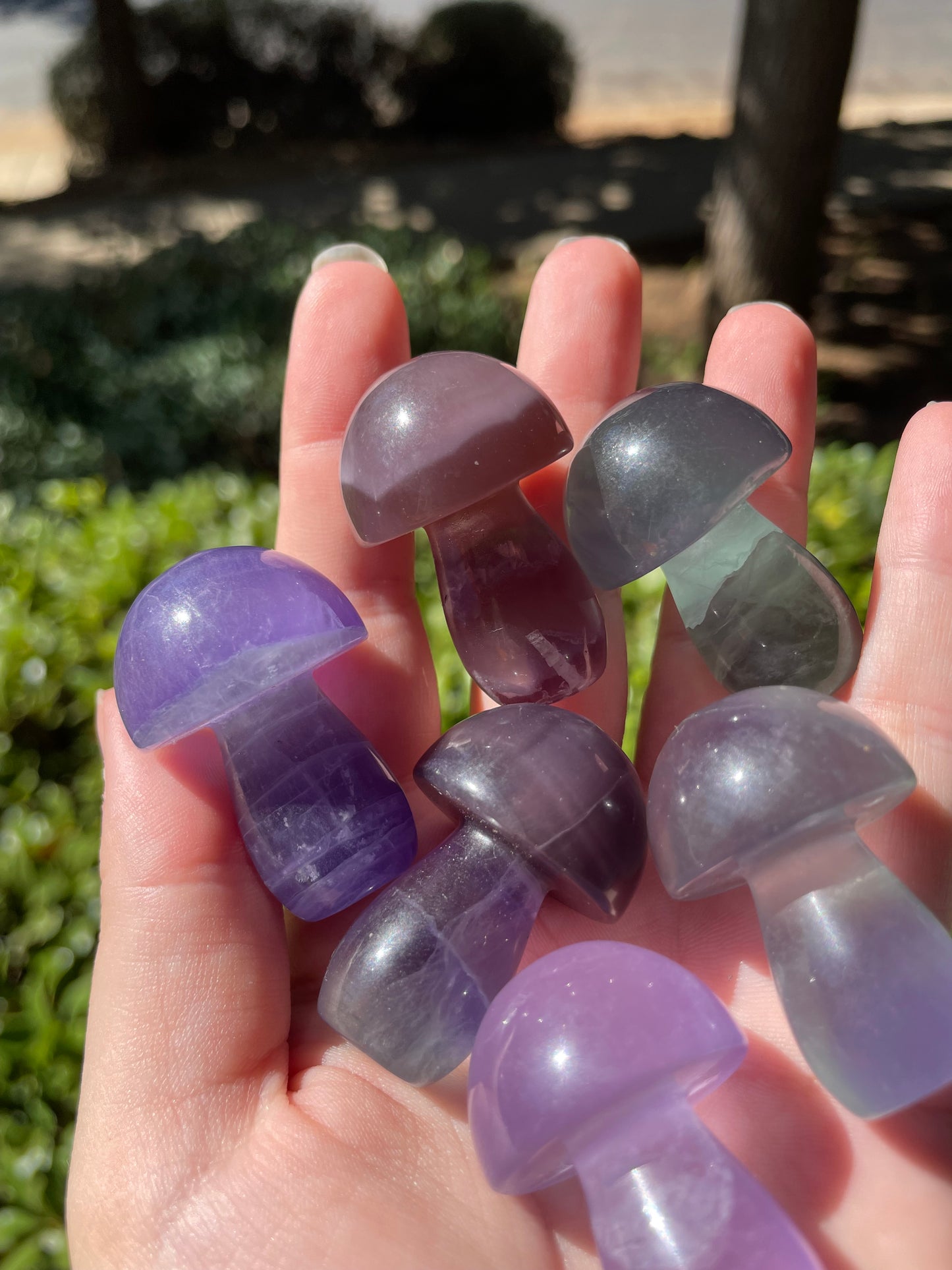 Rainbow Fluorite Crystal Mushrooms