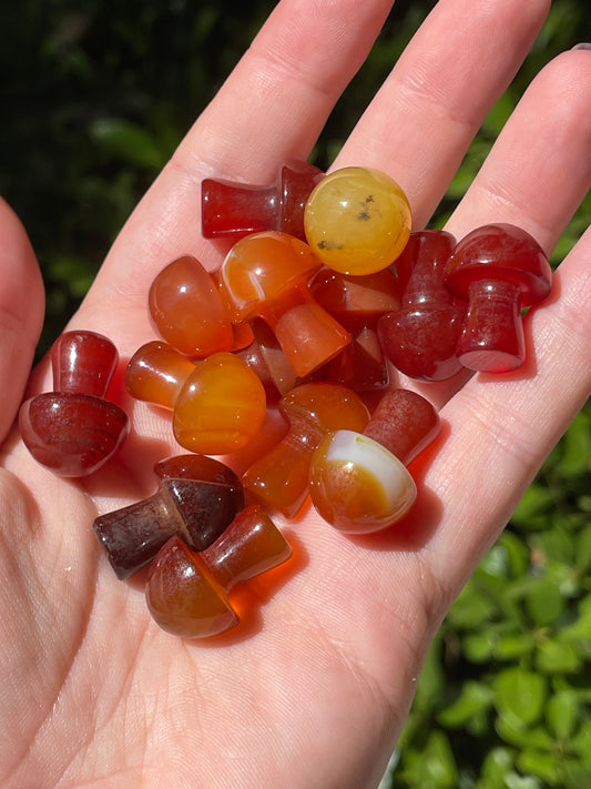 Mini Carnelian Crystal Mushrooms