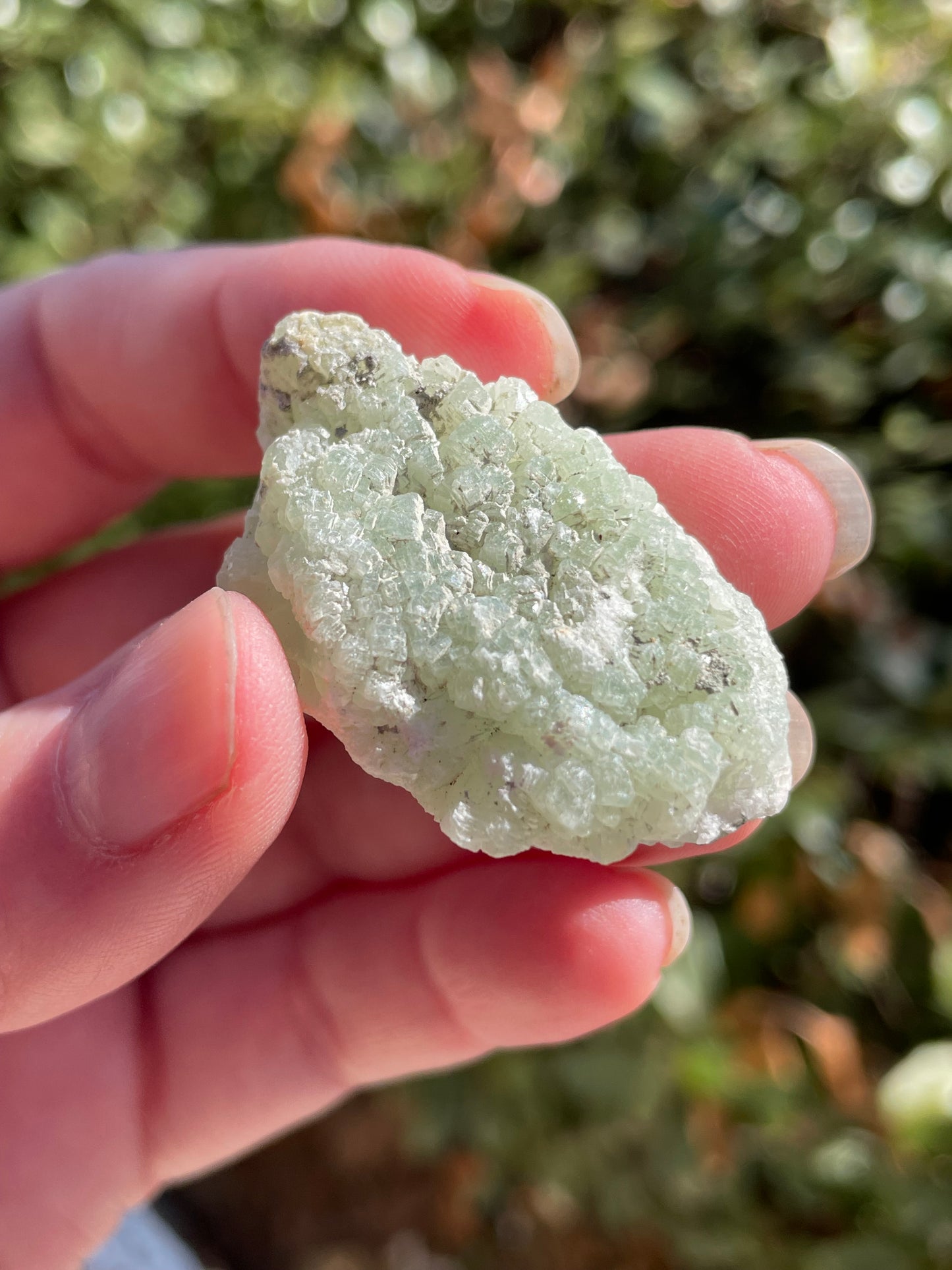 Prehnite with Epidote Crystal Clusters