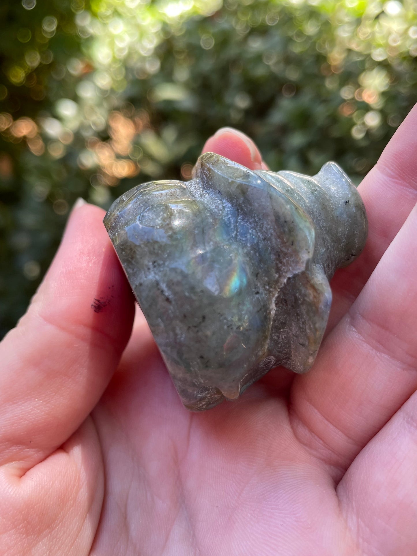 Labradorite Jack-O-Lantern Halloween Pumpkin Witch Carving