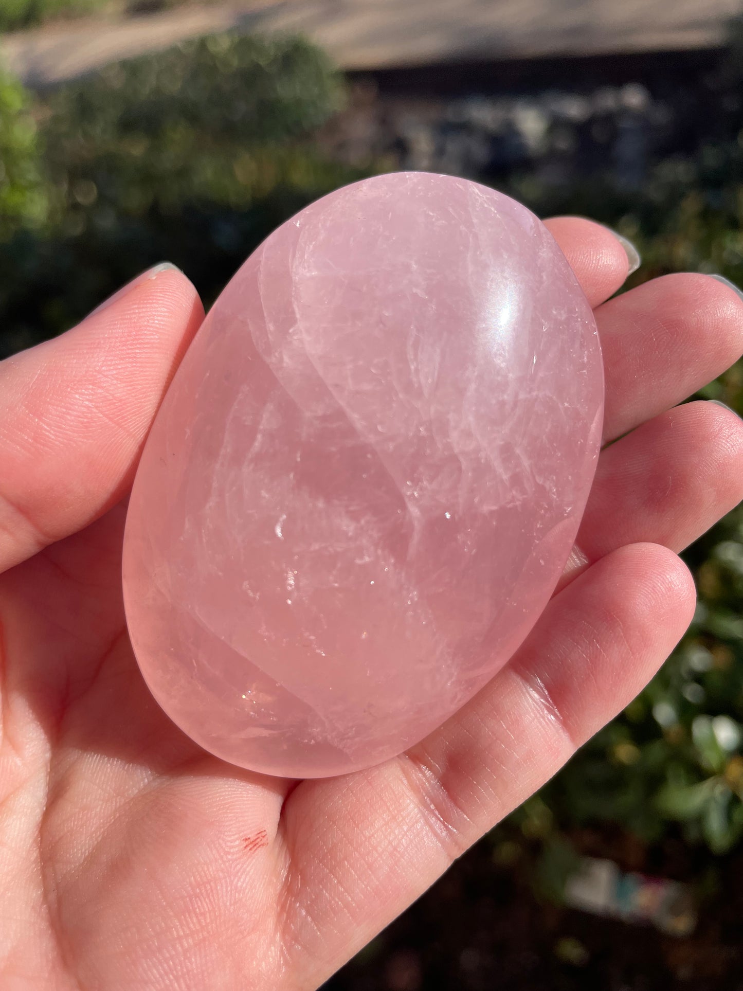 Rose Quartz Crystal Palm Stones