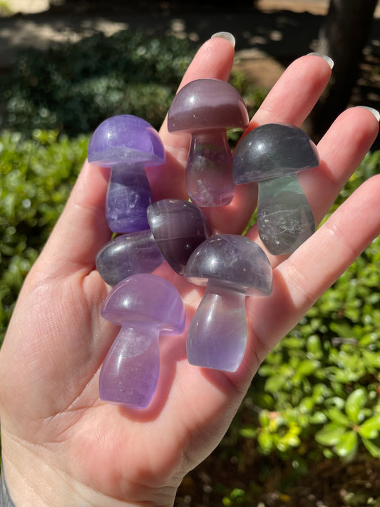 Rainbow Fluorite Crystal Mushrooms