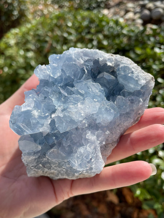 Celestite Crystal Statement Piece Cluster