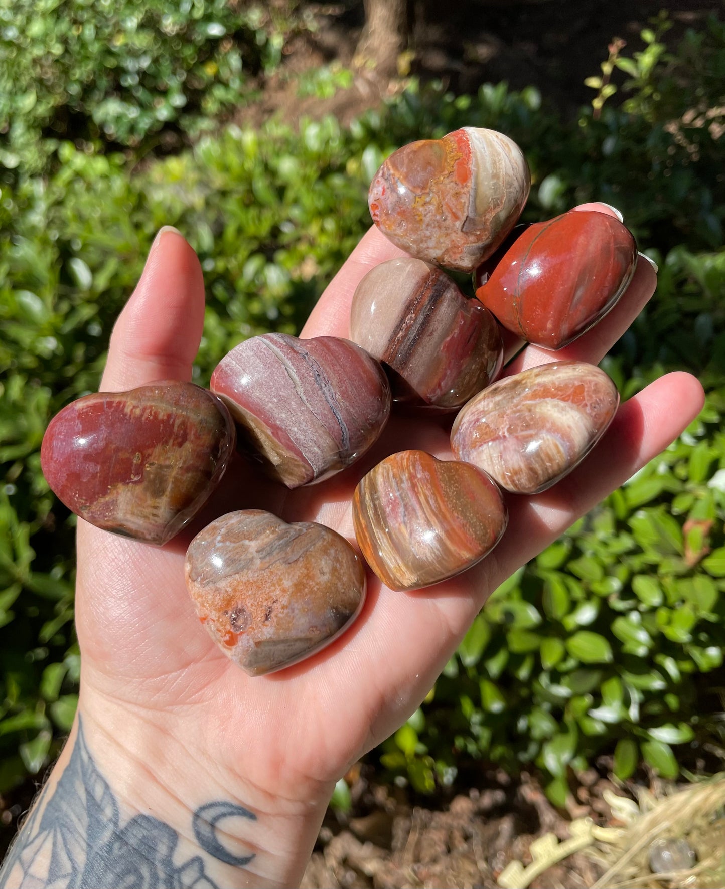 Petrified Wood Hearts