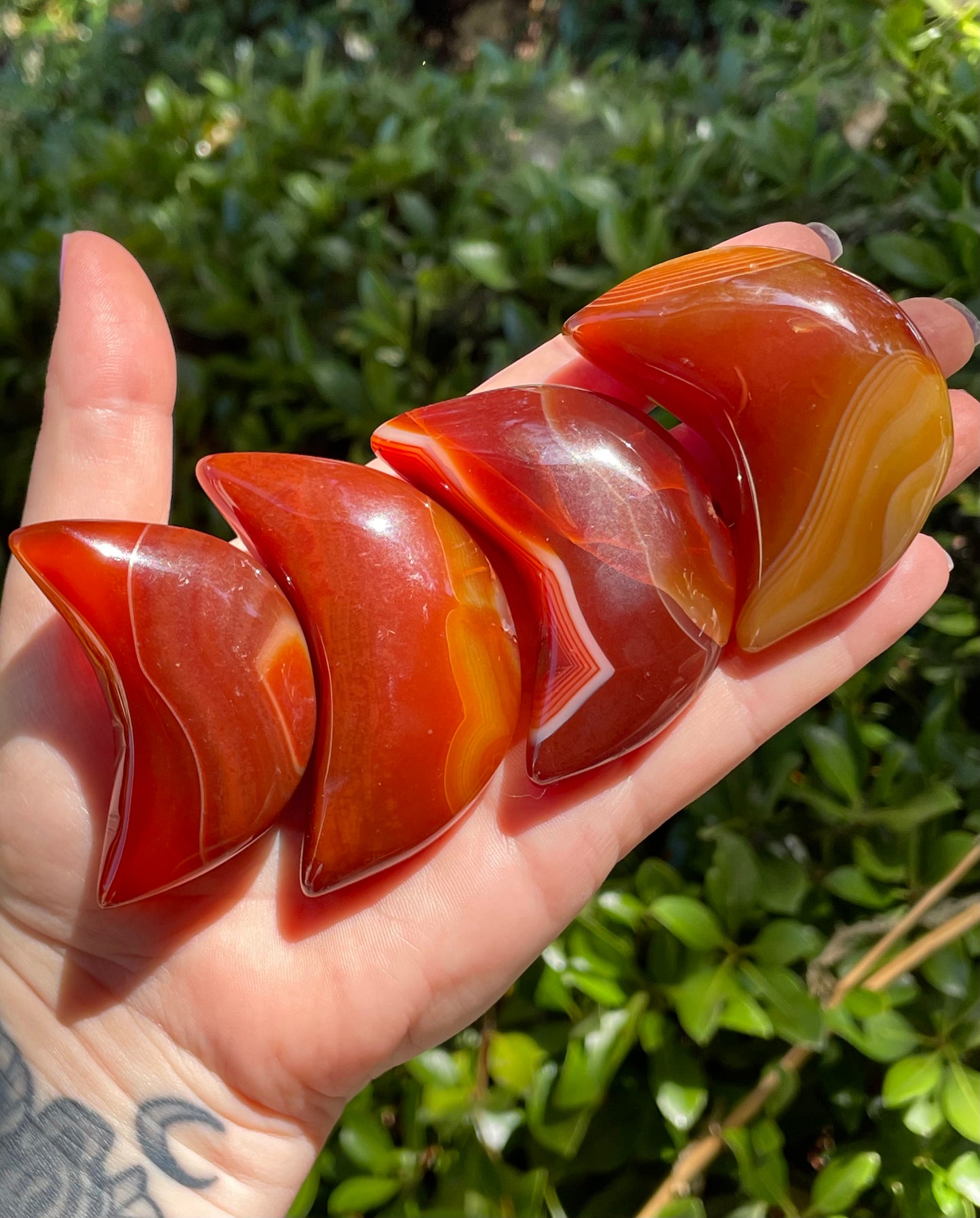 Carnelian 🌙 Crescent Moon Crystals