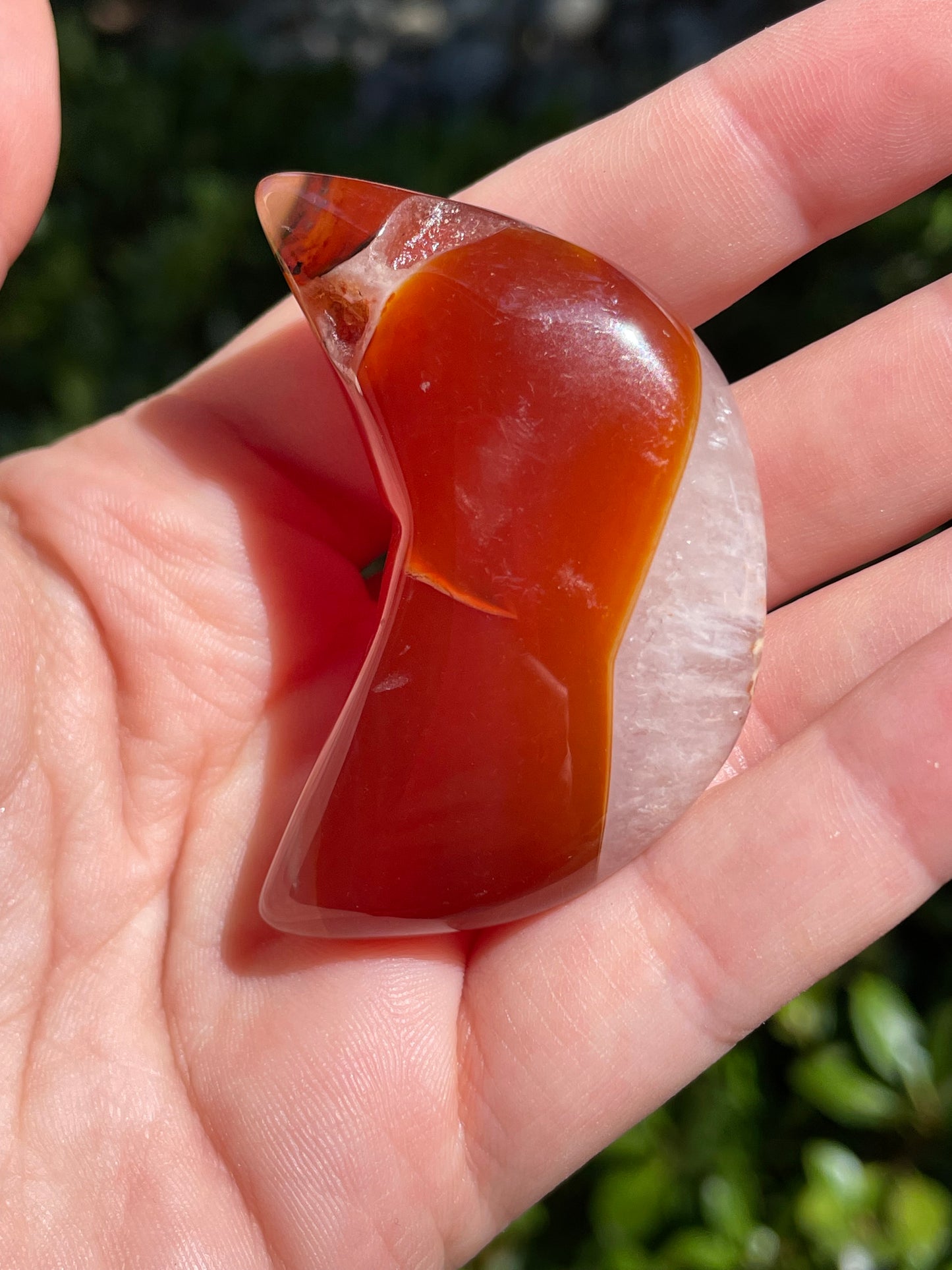 Carnelian 🌙 Crescent Moon Crystals