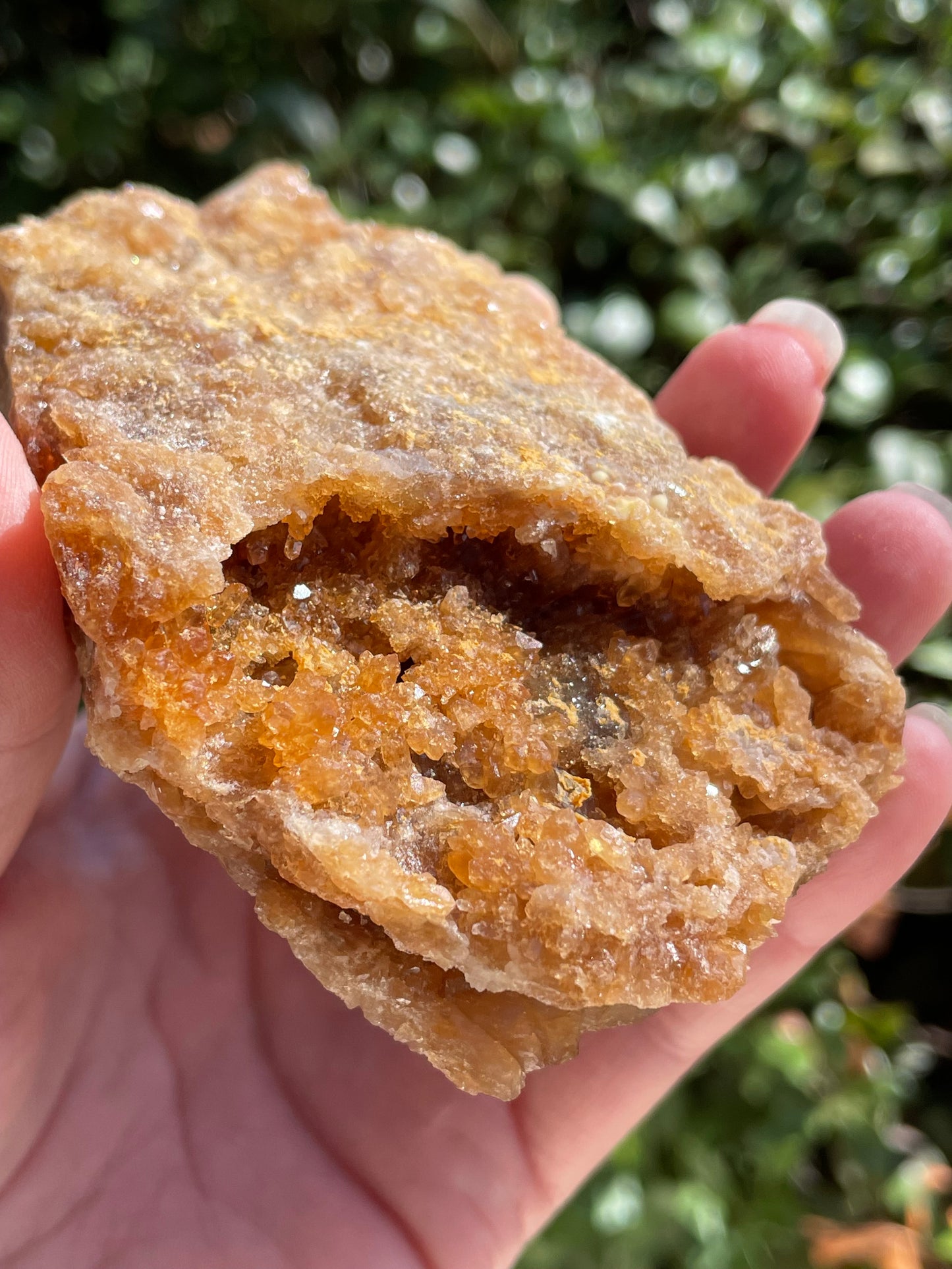 Raw Untreated Citrine Crystal Cluster