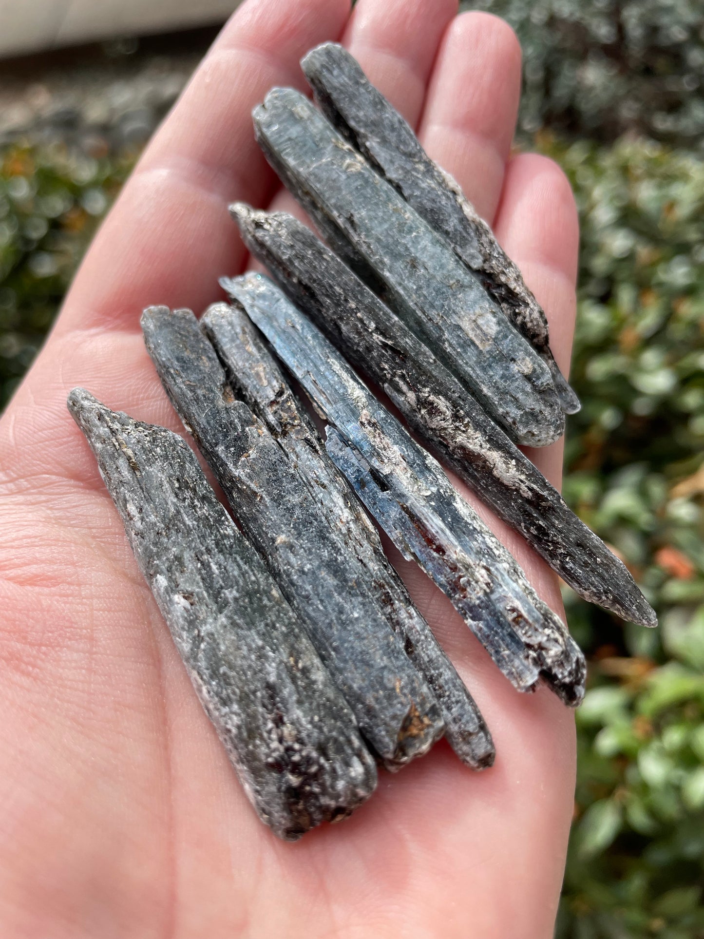 Indigo Blue Kyanite from Zimbabwe