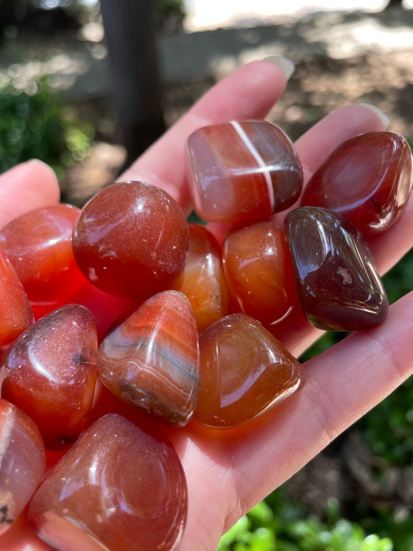 Carnelian Crystal Tumbles