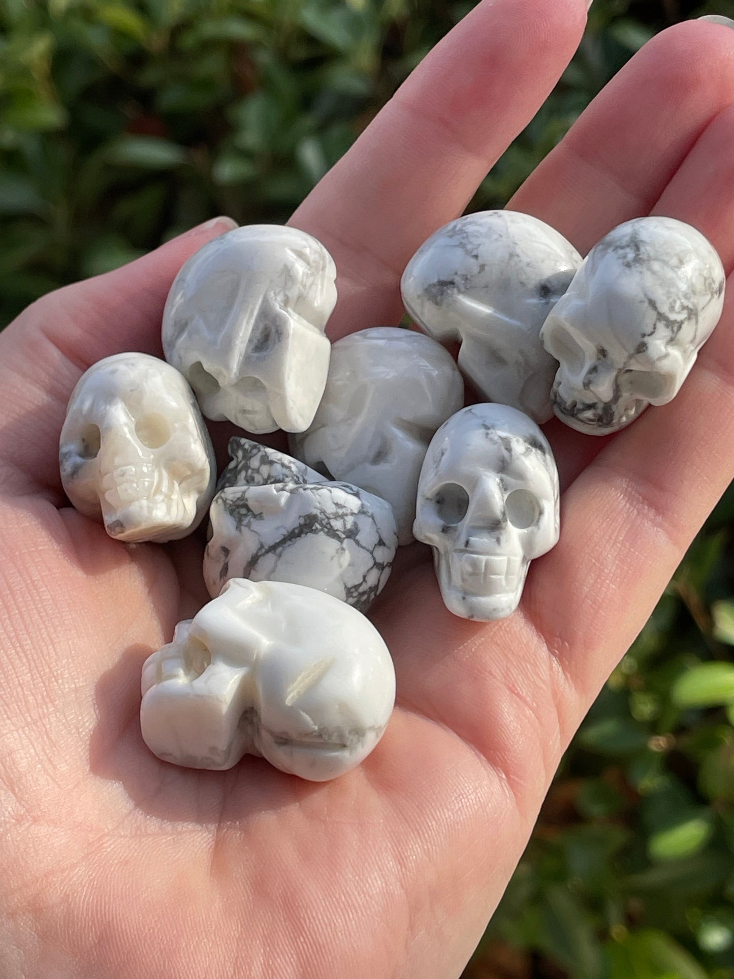 1” Howlite Crystal Skull