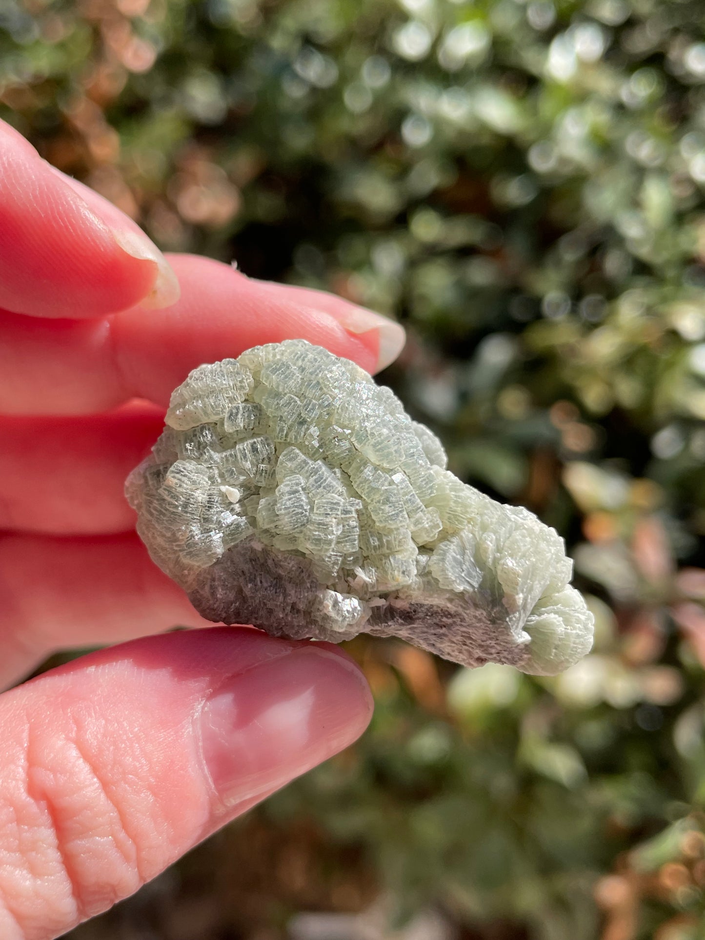 Prehnite with Epidote Crystal Clusters