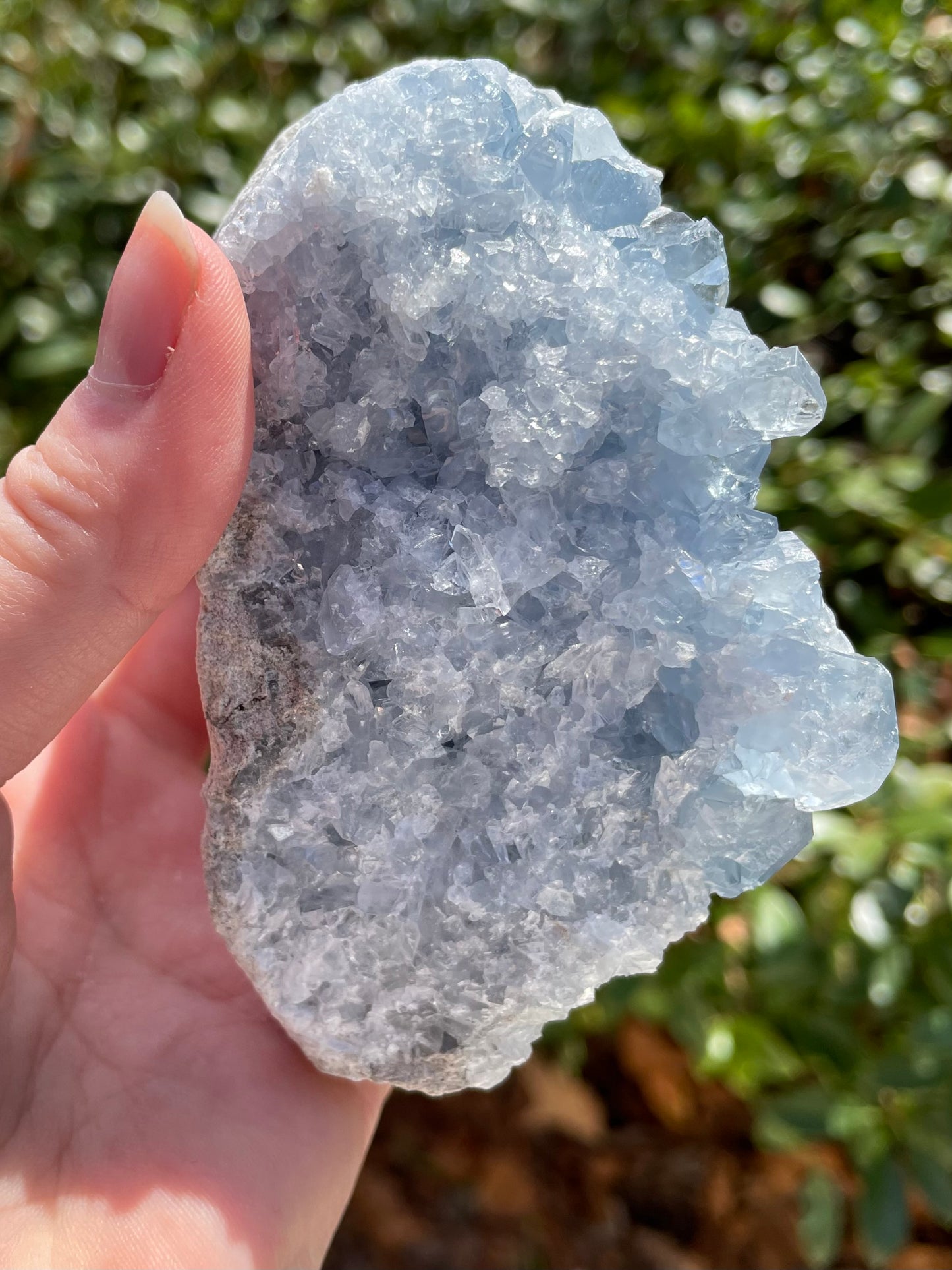 Celestite Crystal Statement Piece Cluster