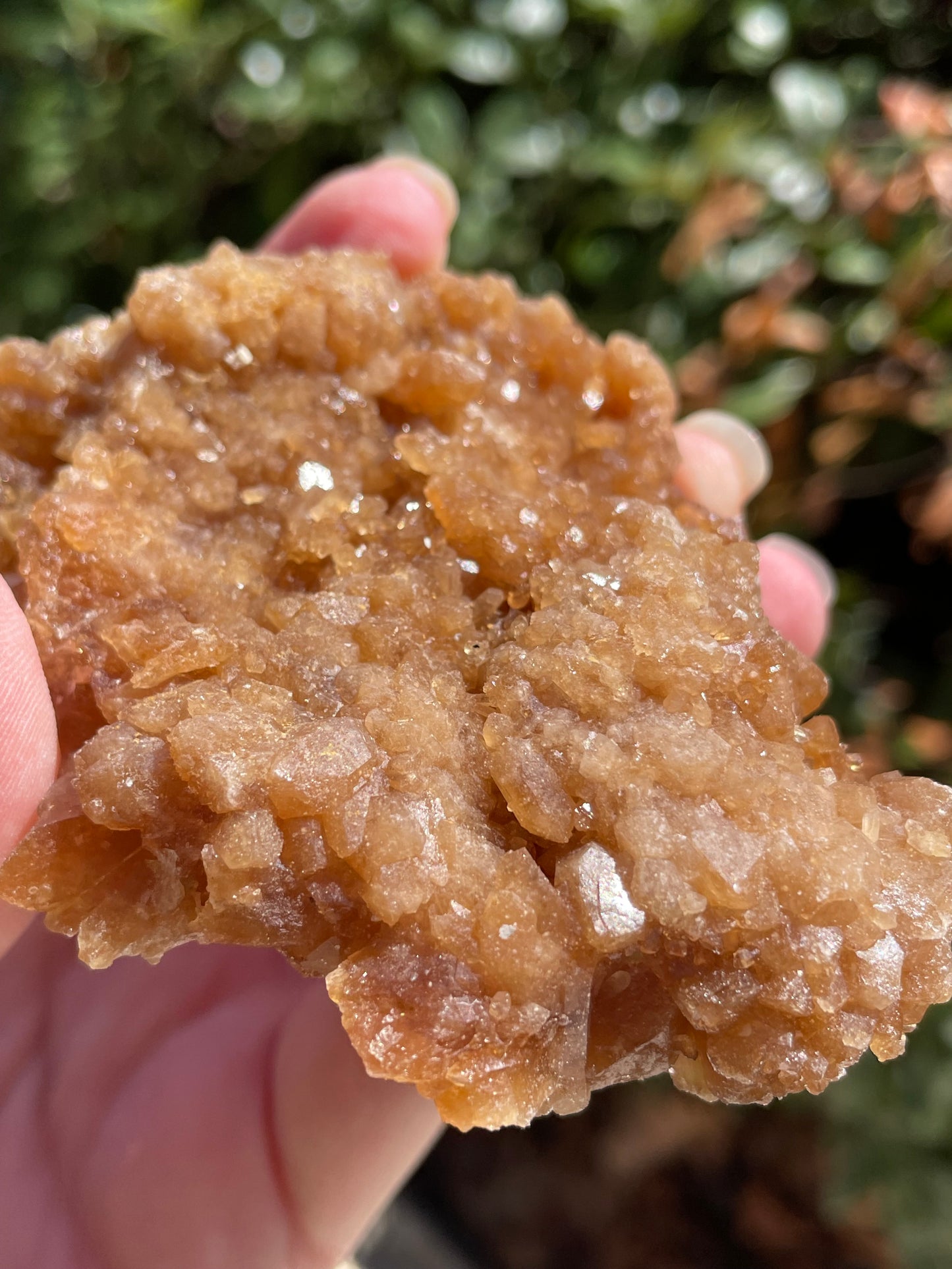 Raw Untreated Citrine Crystal Cluster