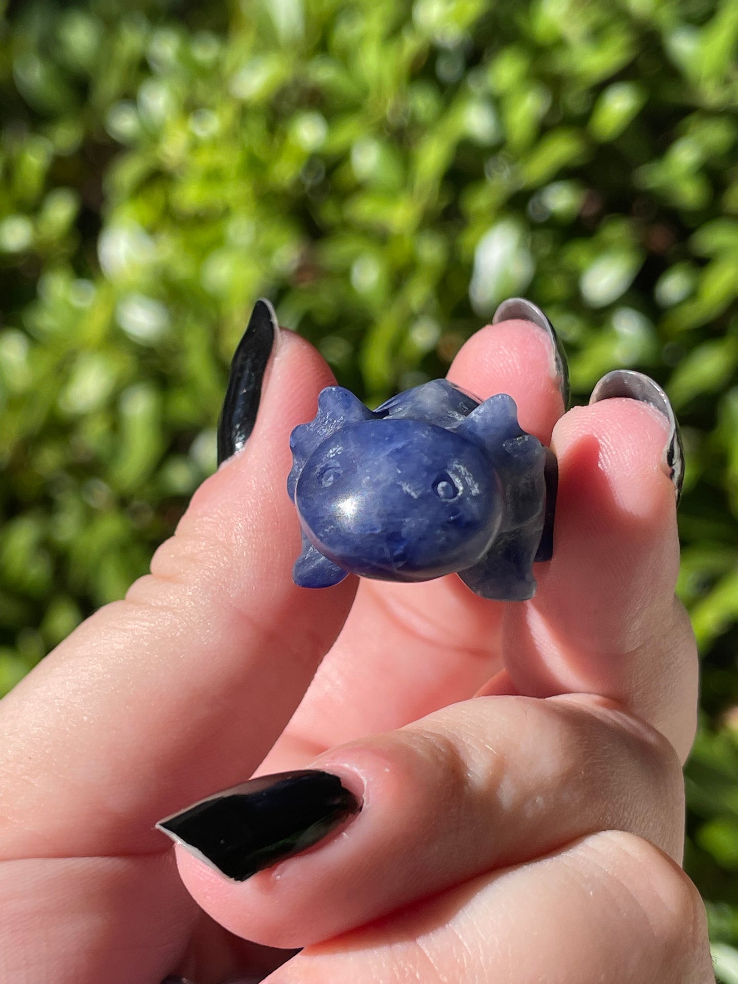 Sodalite Axolotl Crystal Carvings