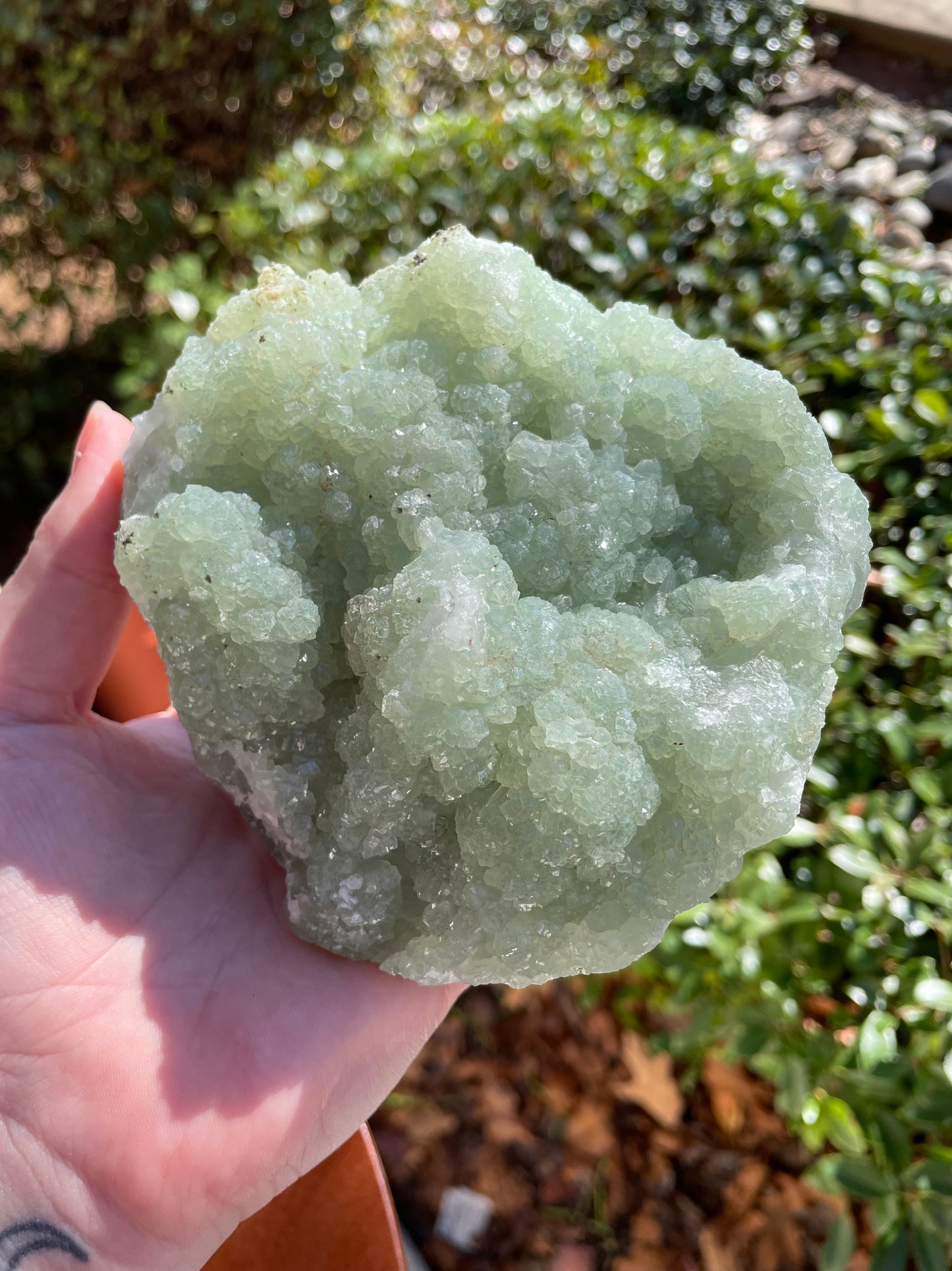 Prehnite Statement Piece Raw Crystal Cluster