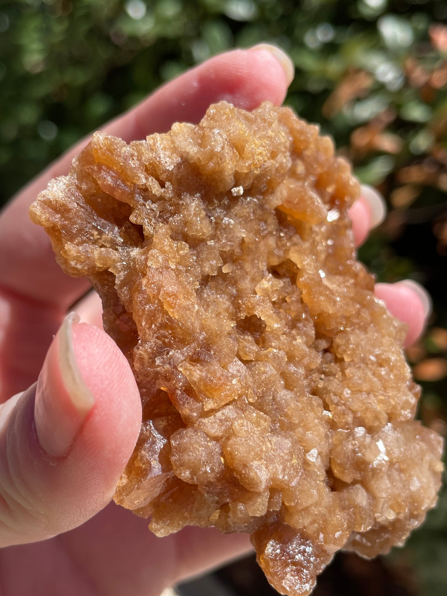 Raw Untreated Citrine Crystal Cluster