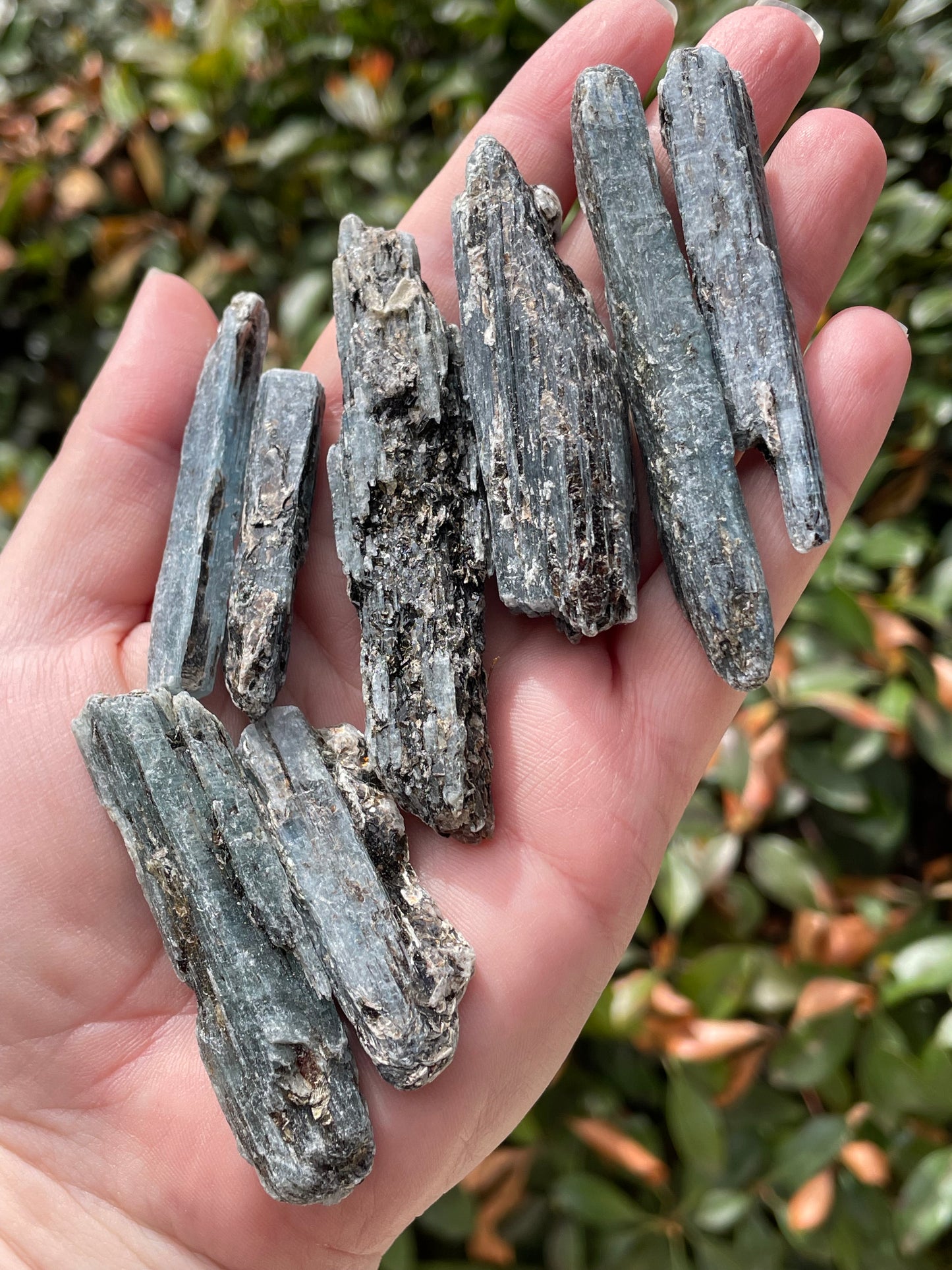 Indigo Blue Kyanite from Zimbabwe