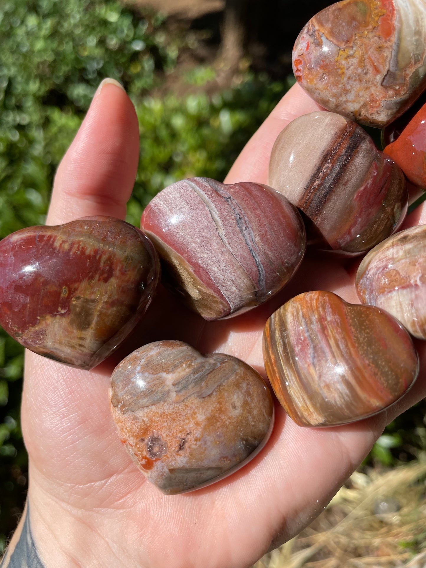 Petrified Wood Hearts