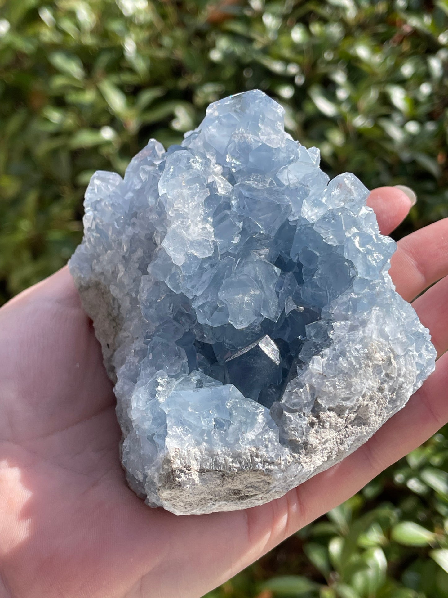 Celestite Crystal Statement Piece Cluster