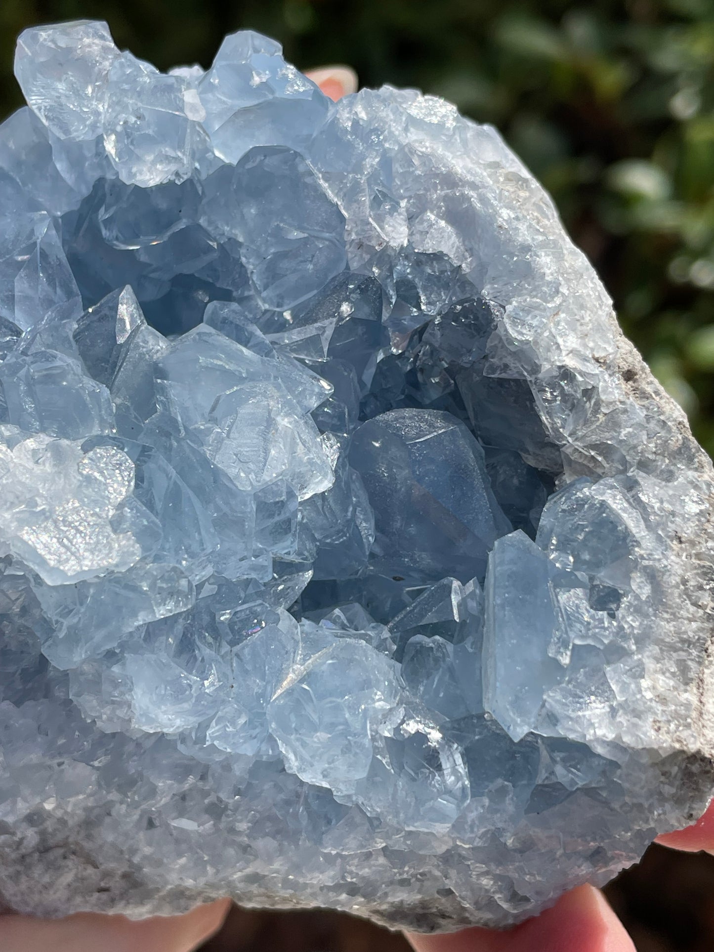 Celestite Crystal Statement Piece Cluster