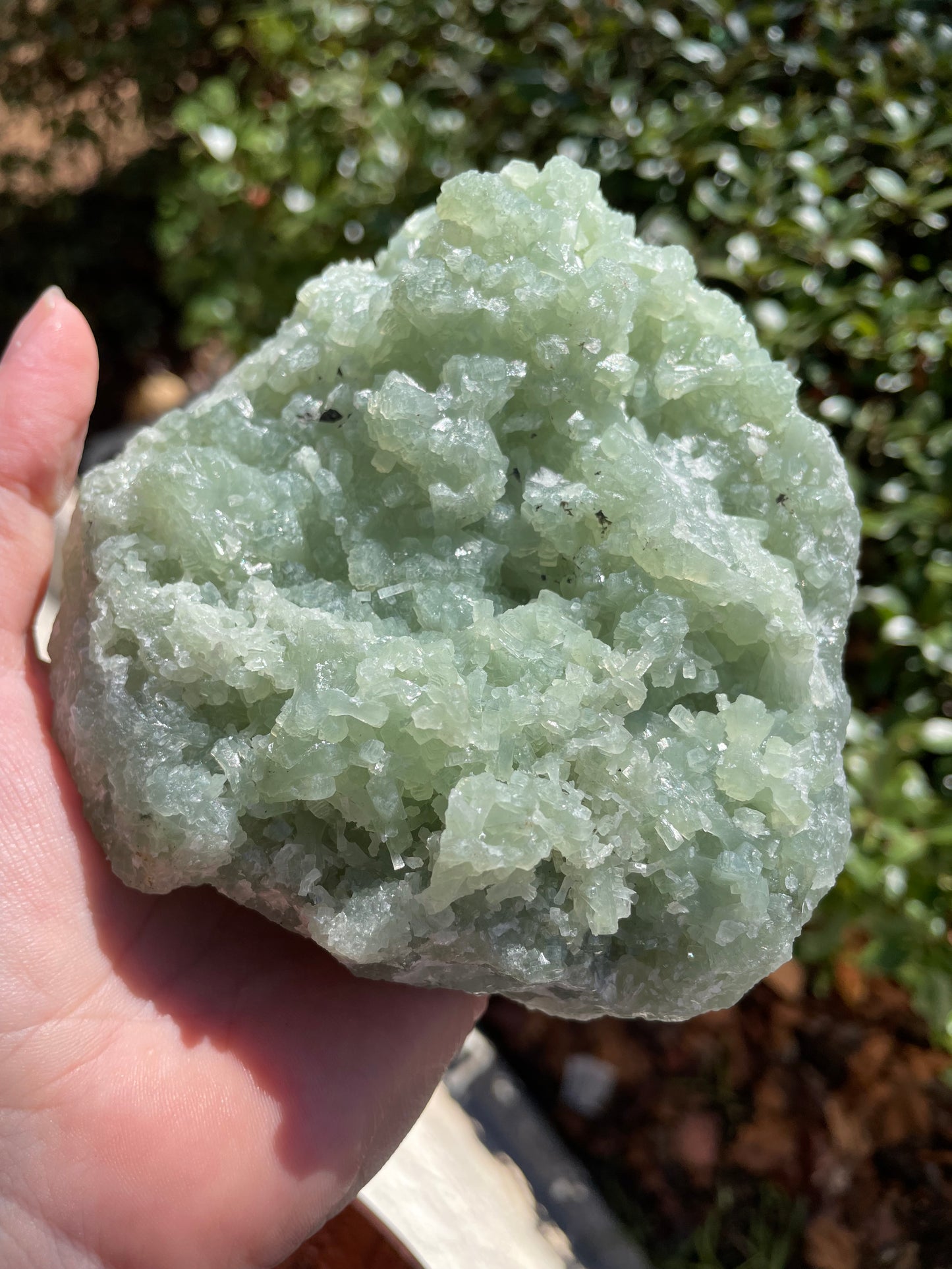 Prehnite Statement Piece Raw Crystal Cluster