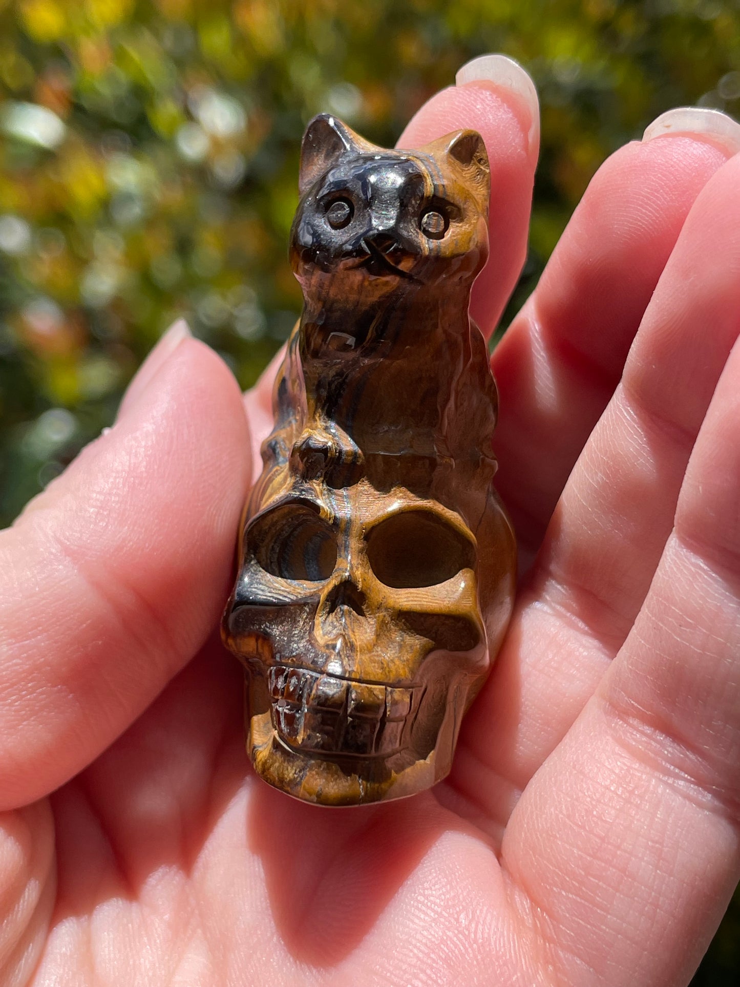 Cat on Skull Tigers Eye Carving