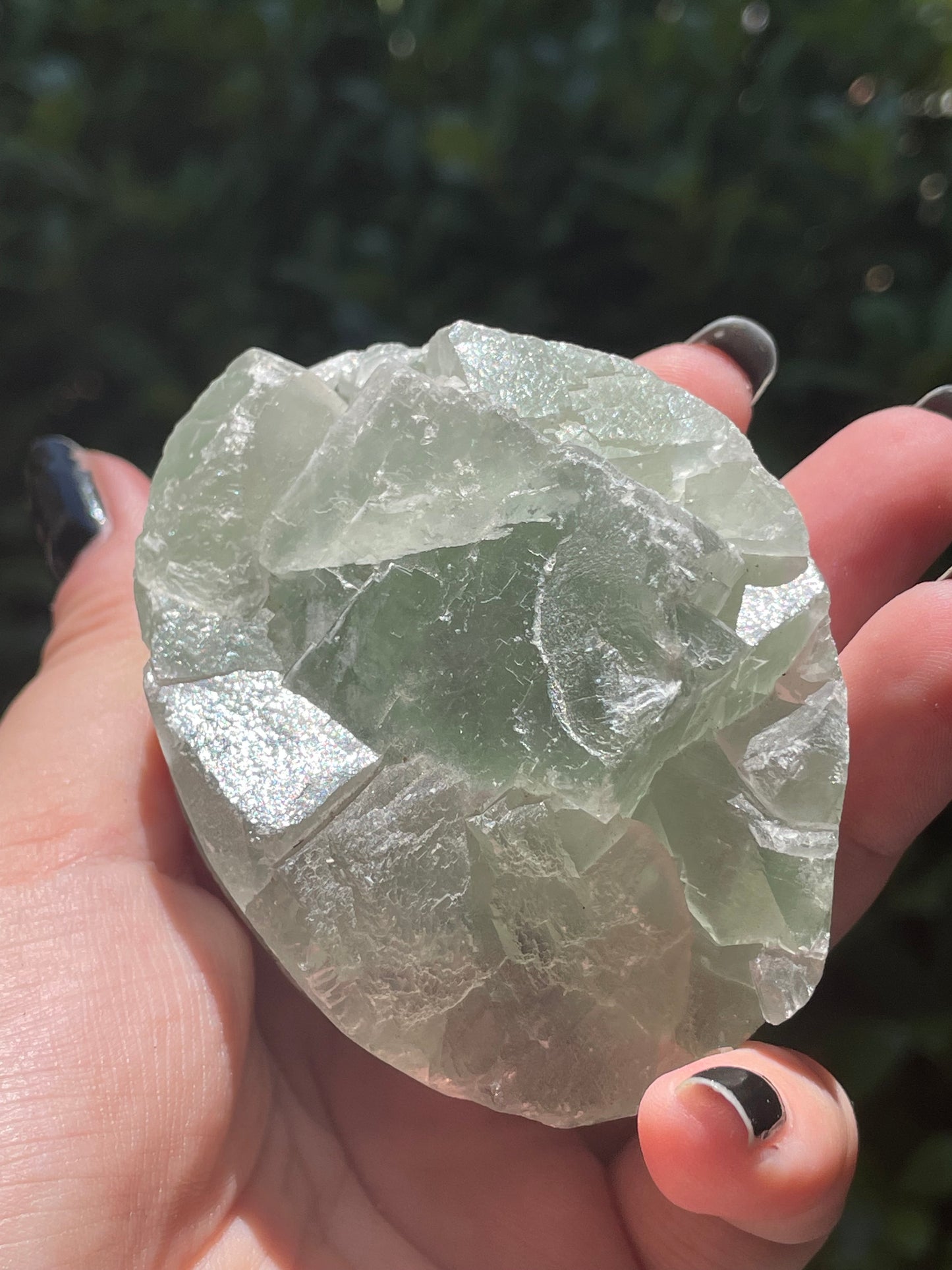 Green Fluorite Cluster Pet Rock Groot Crystal