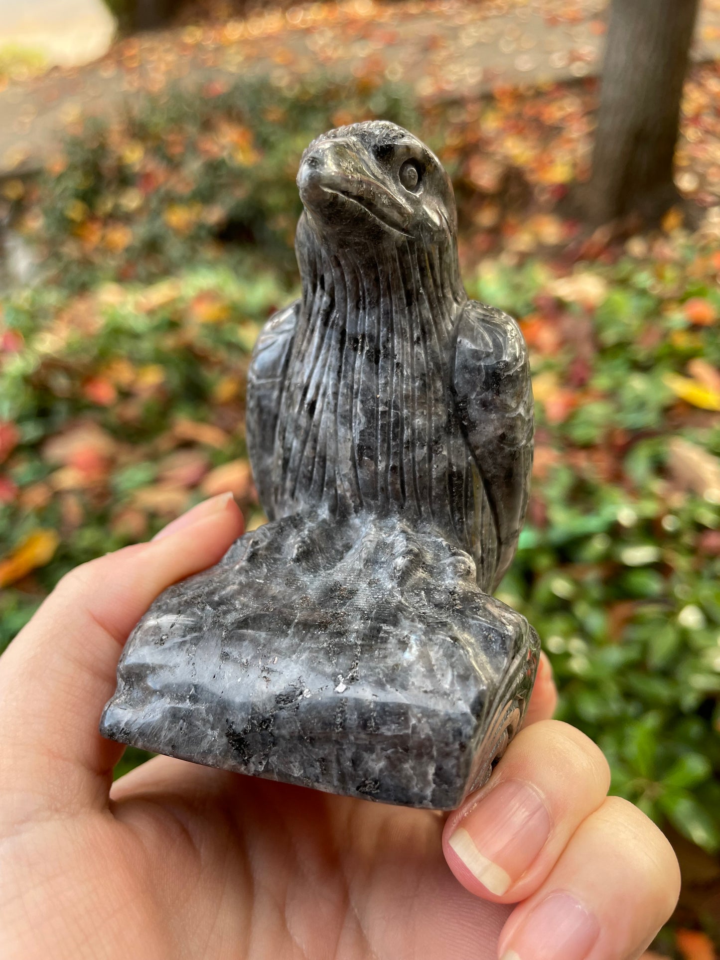 4” Larvikite Raven Statue