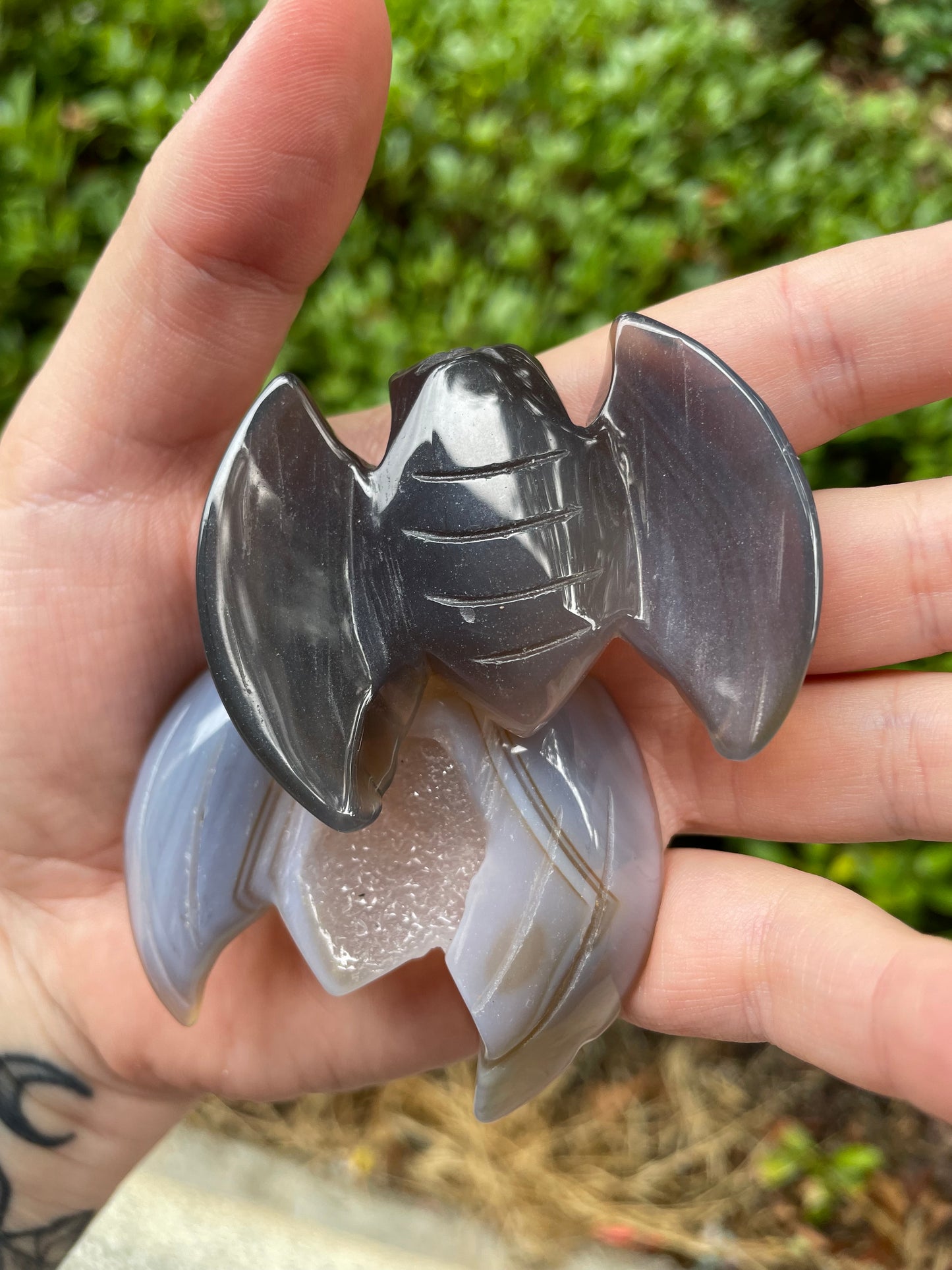 Gray Agate with Druzy Bat Carvings