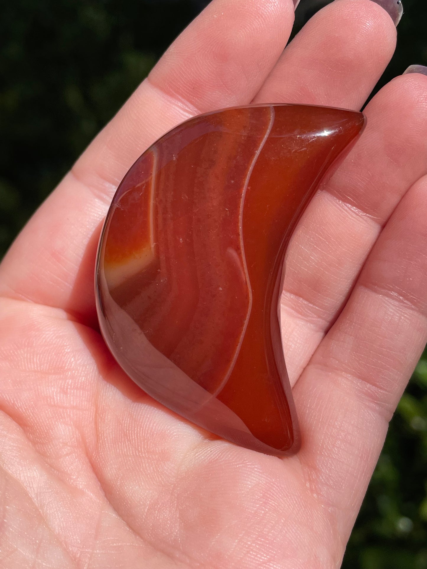 Carnelian 🌙 Crescent Moon Crystals