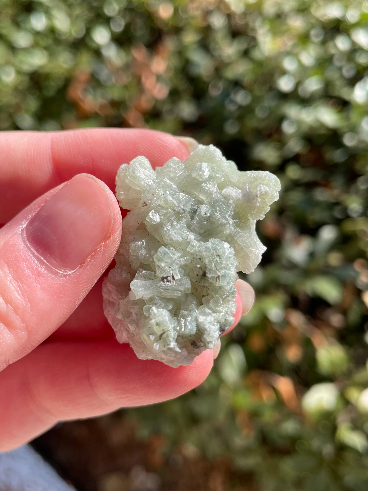 Prehnite with Epidote Crystal Clusters