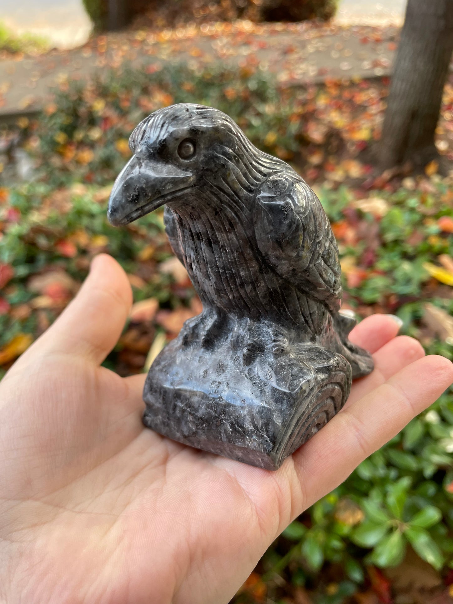 4” Larvikite Raven Statue