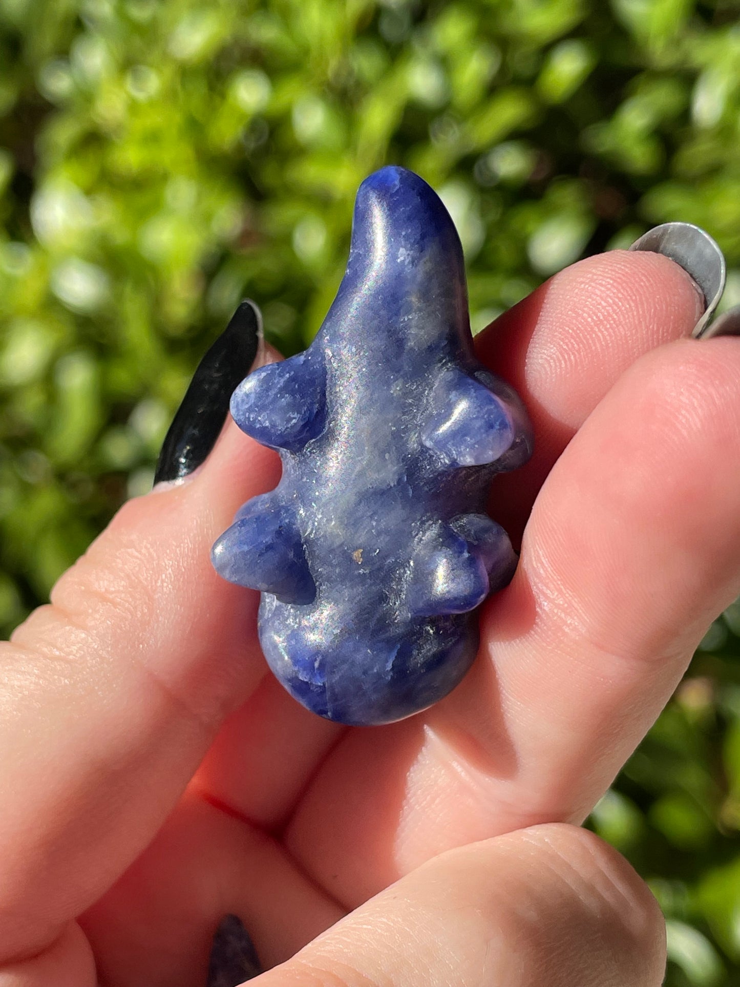 Sodalite Axolotl Crystal Carvings