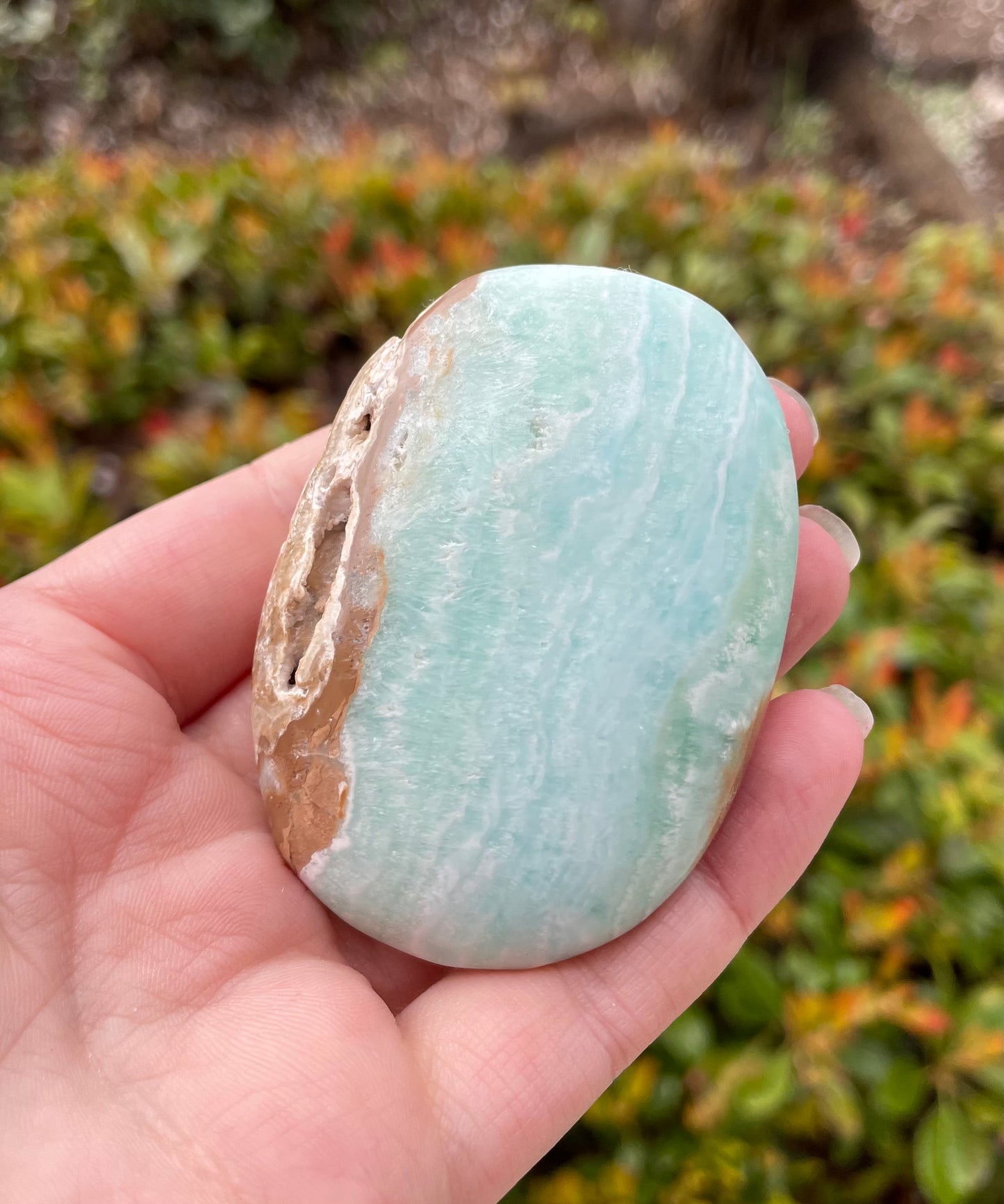 Caribbean Calcite Crystal Palm Stone