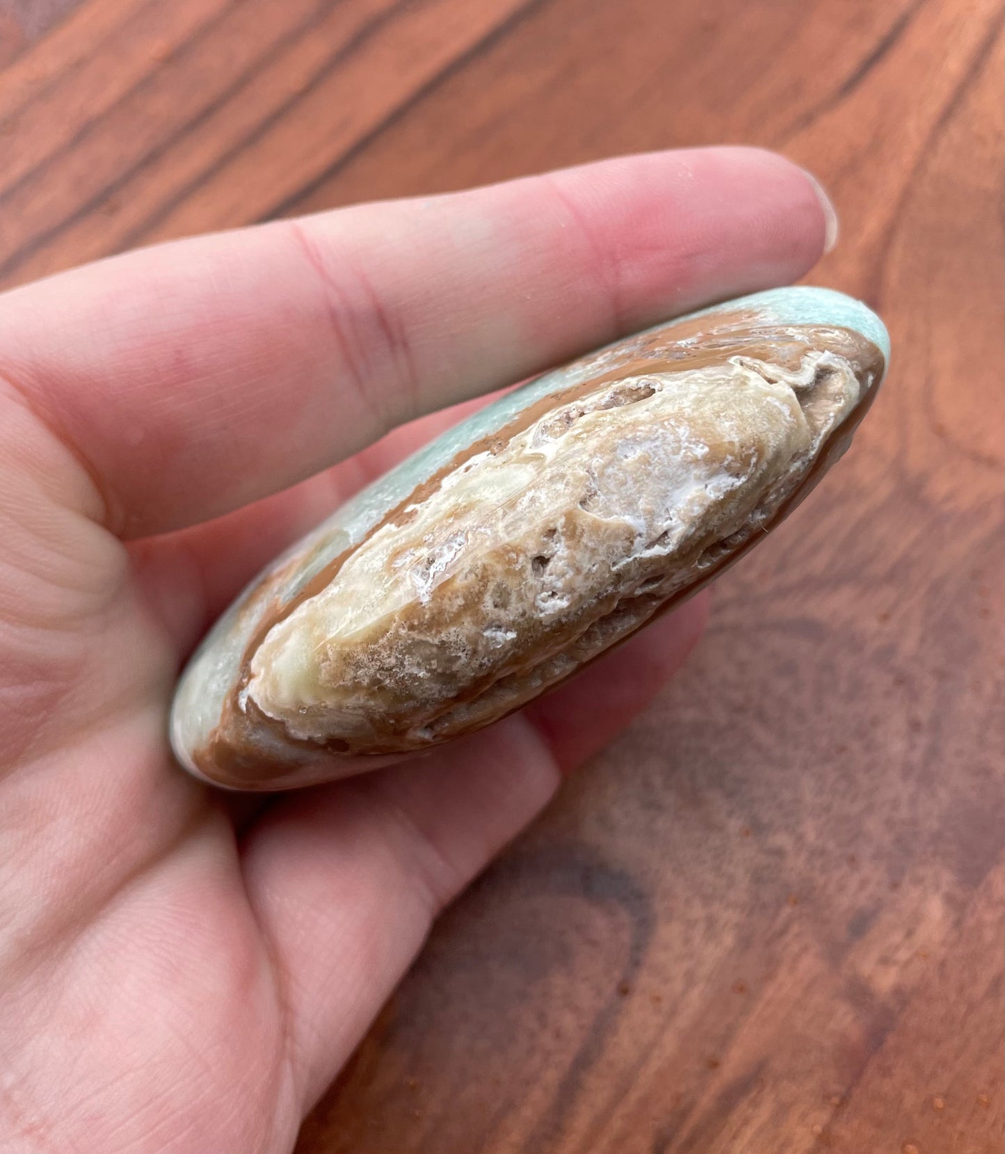 Caribbean Calcite Crystal Palm Stone