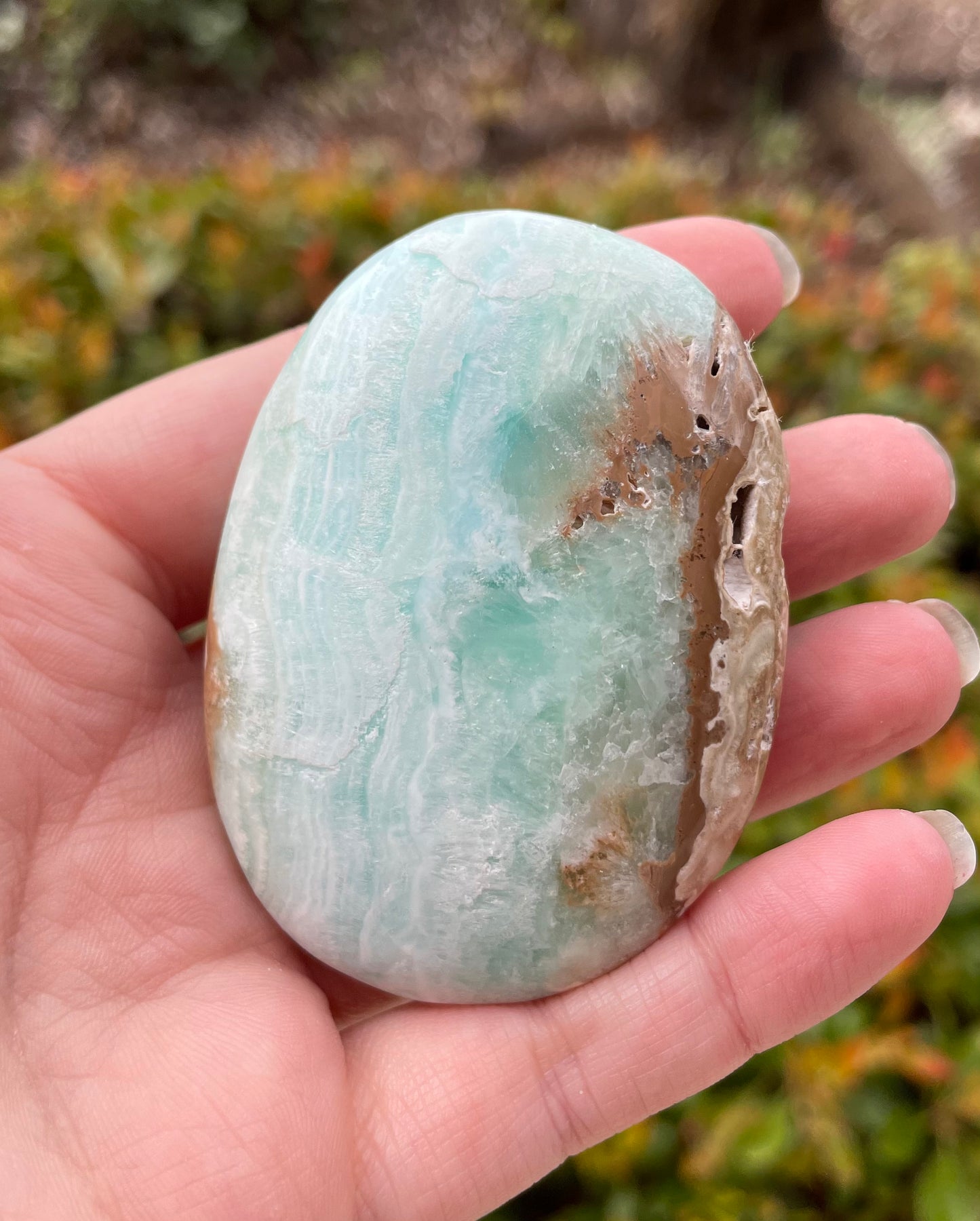 Caribbean Calcite Crystal Palm Stone