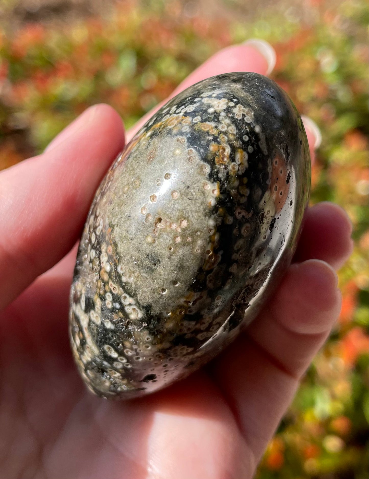 Ocean Jasper Crystal Heart