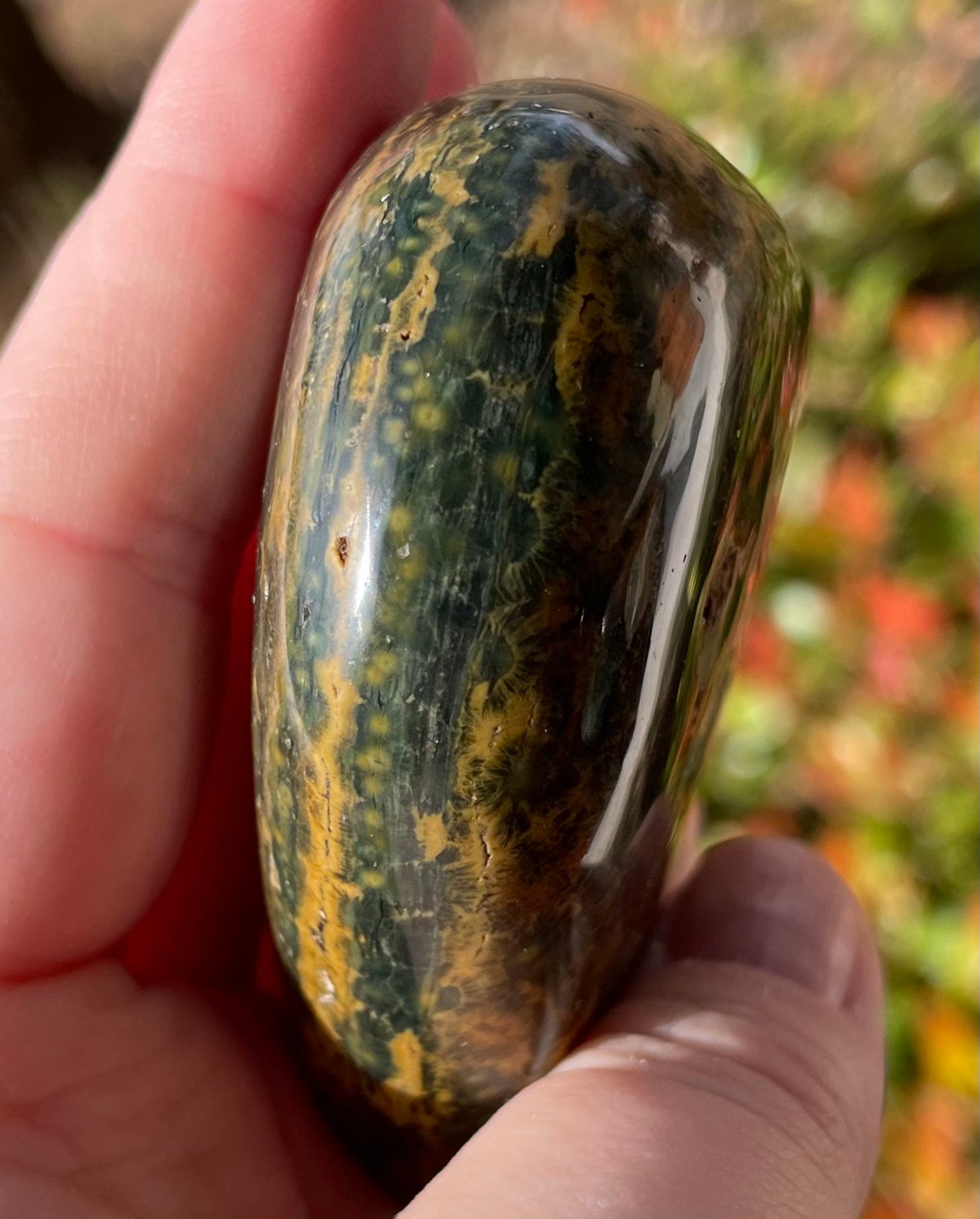 Ocean Jasper Crystal Heart