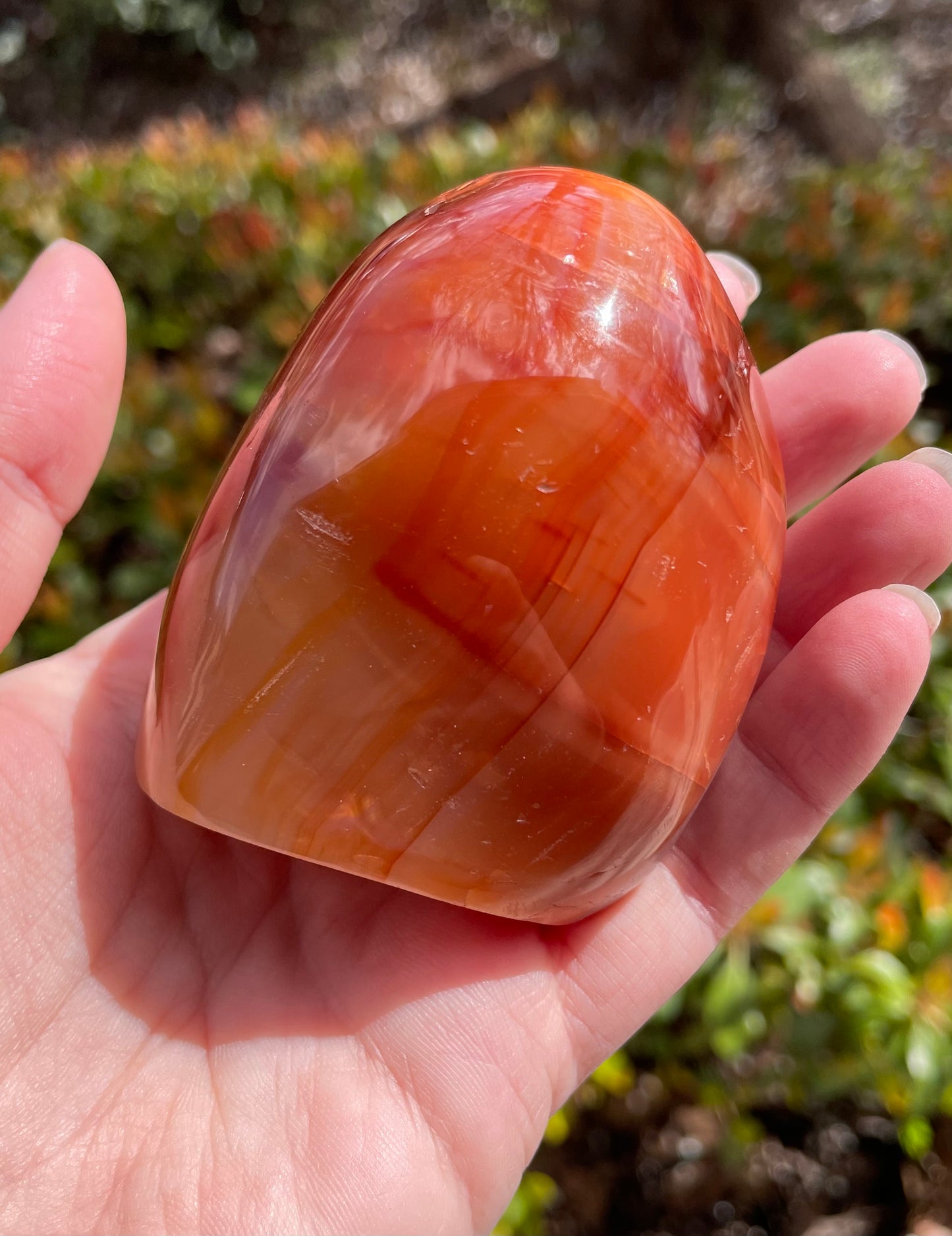 Carnelian Crystal Self Standing Free Form