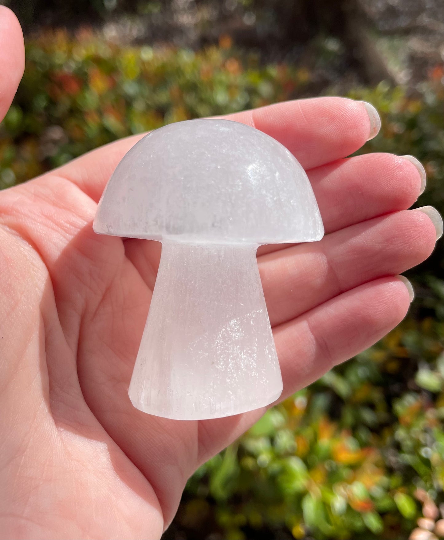 Satin Spar Selenite Crystal Mushrooms