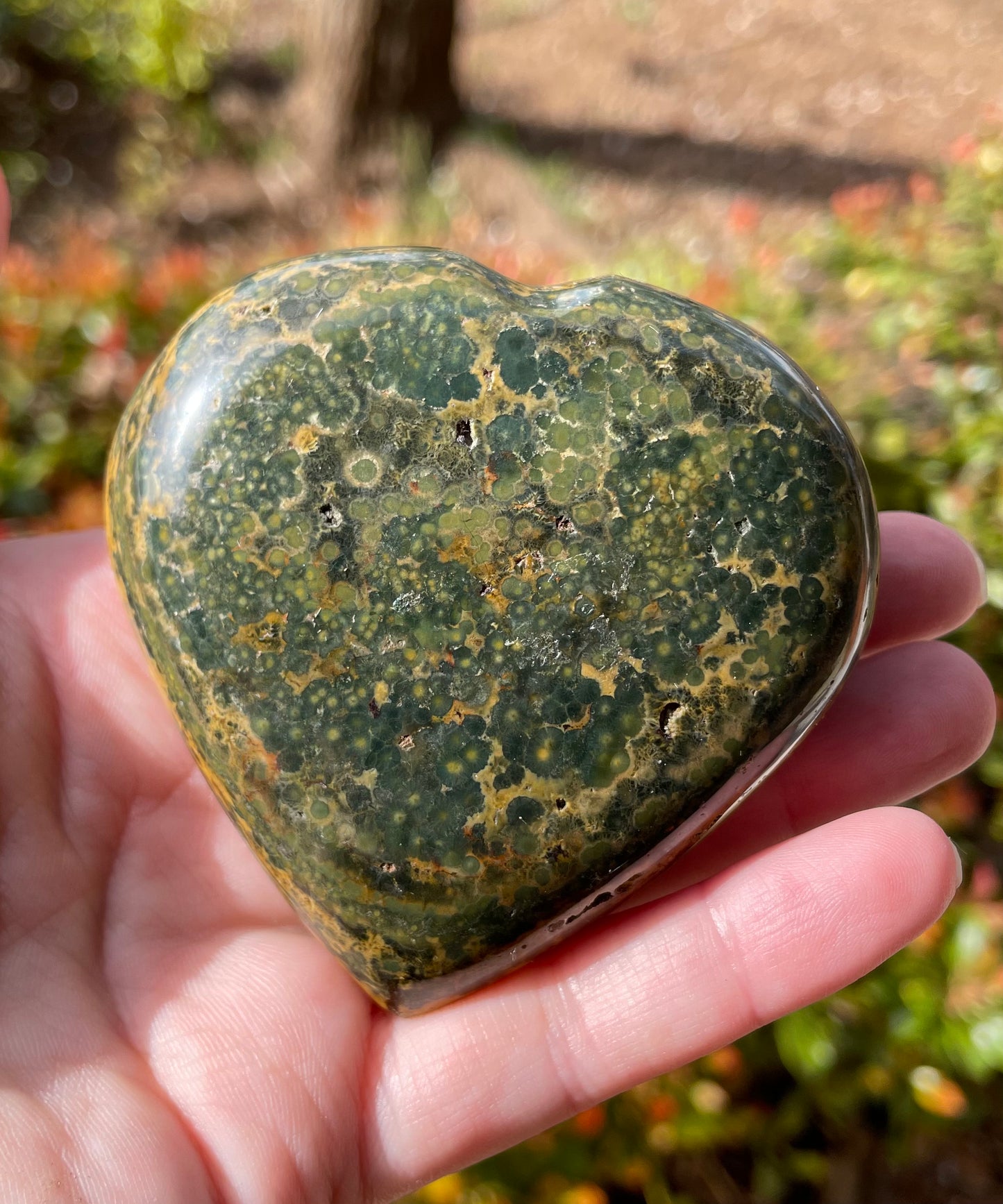 Ocean Jasper Crystal Heart