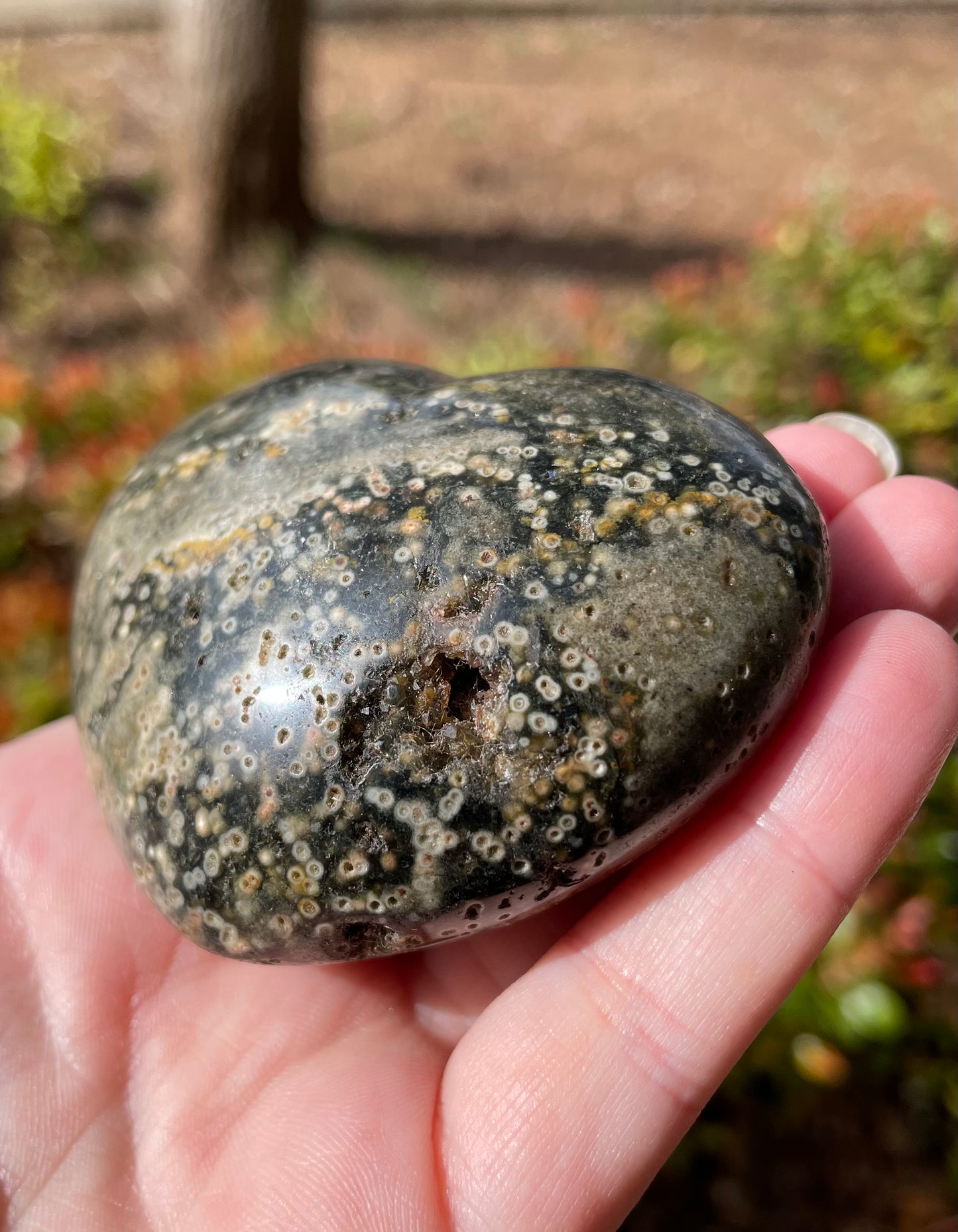 Ocean Jasper Crystal Heart