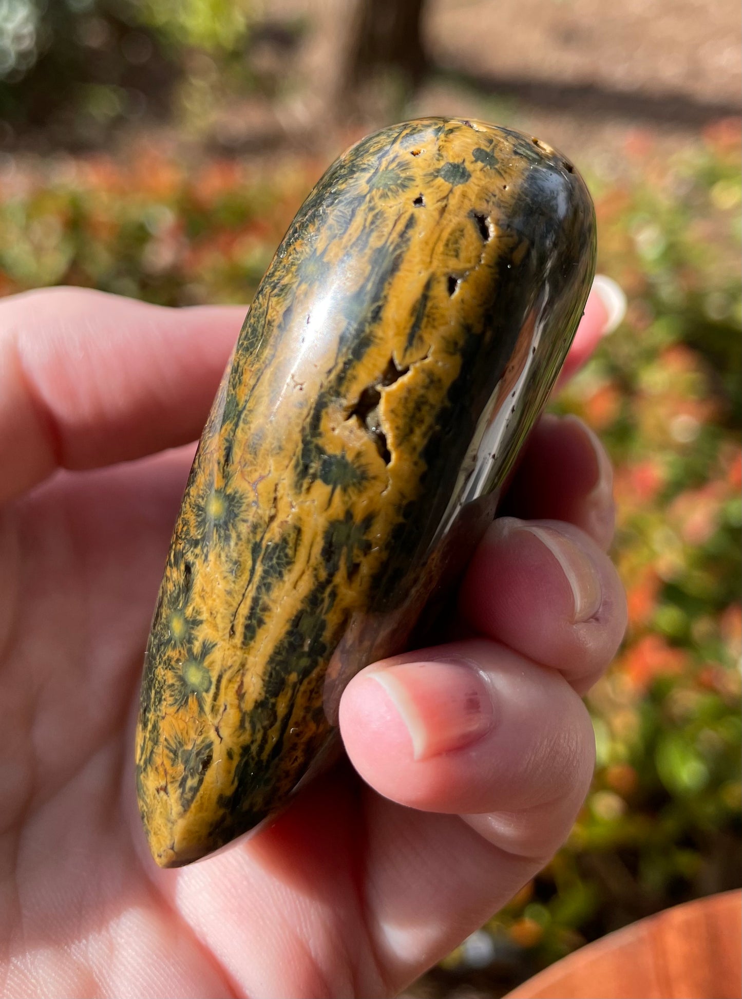 Ocean Jasper Crystal Heart