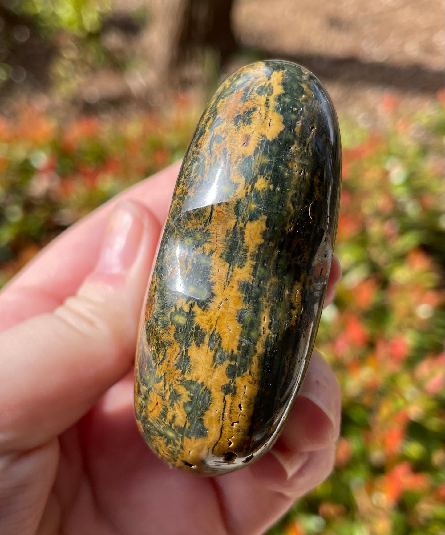 Ocean Jasper Crystal Heart