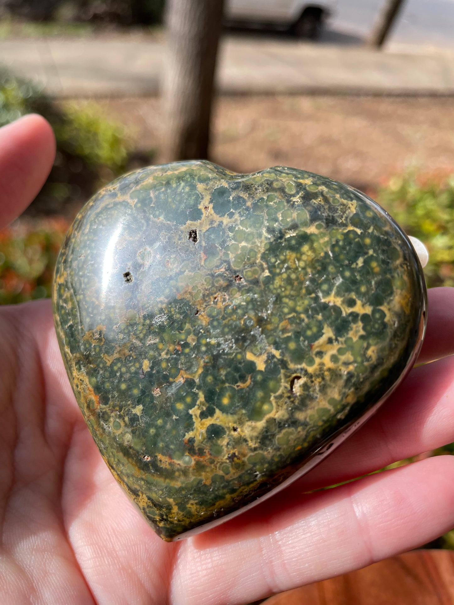 Ocean Jasper Crystal Heart