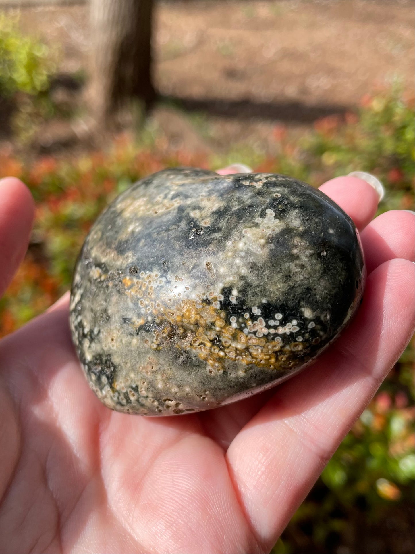 Ocean Jasper Crystal Heart