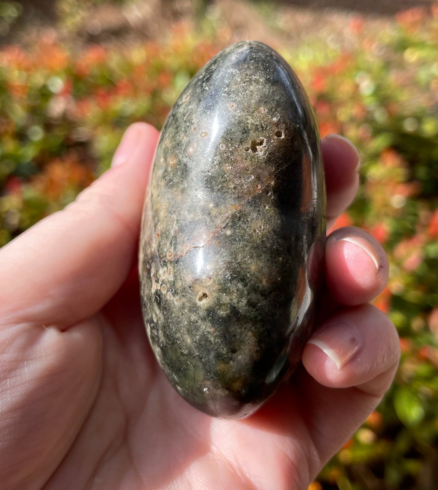 Ocean Jasper Crystal Heart