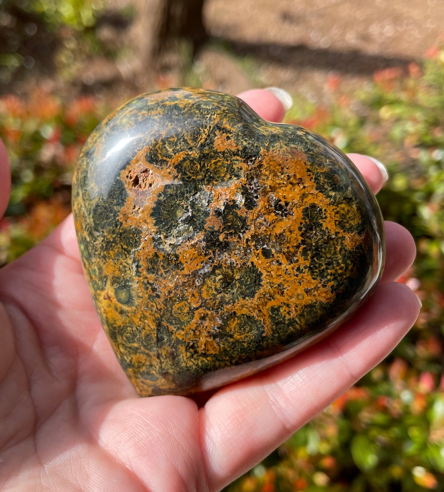 Ocean Jasper Crystal Heart